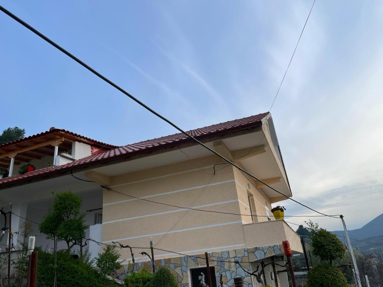 Guesthouse & Hospitality
