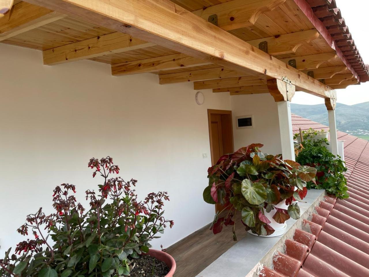 Guesthouse & Hospitality