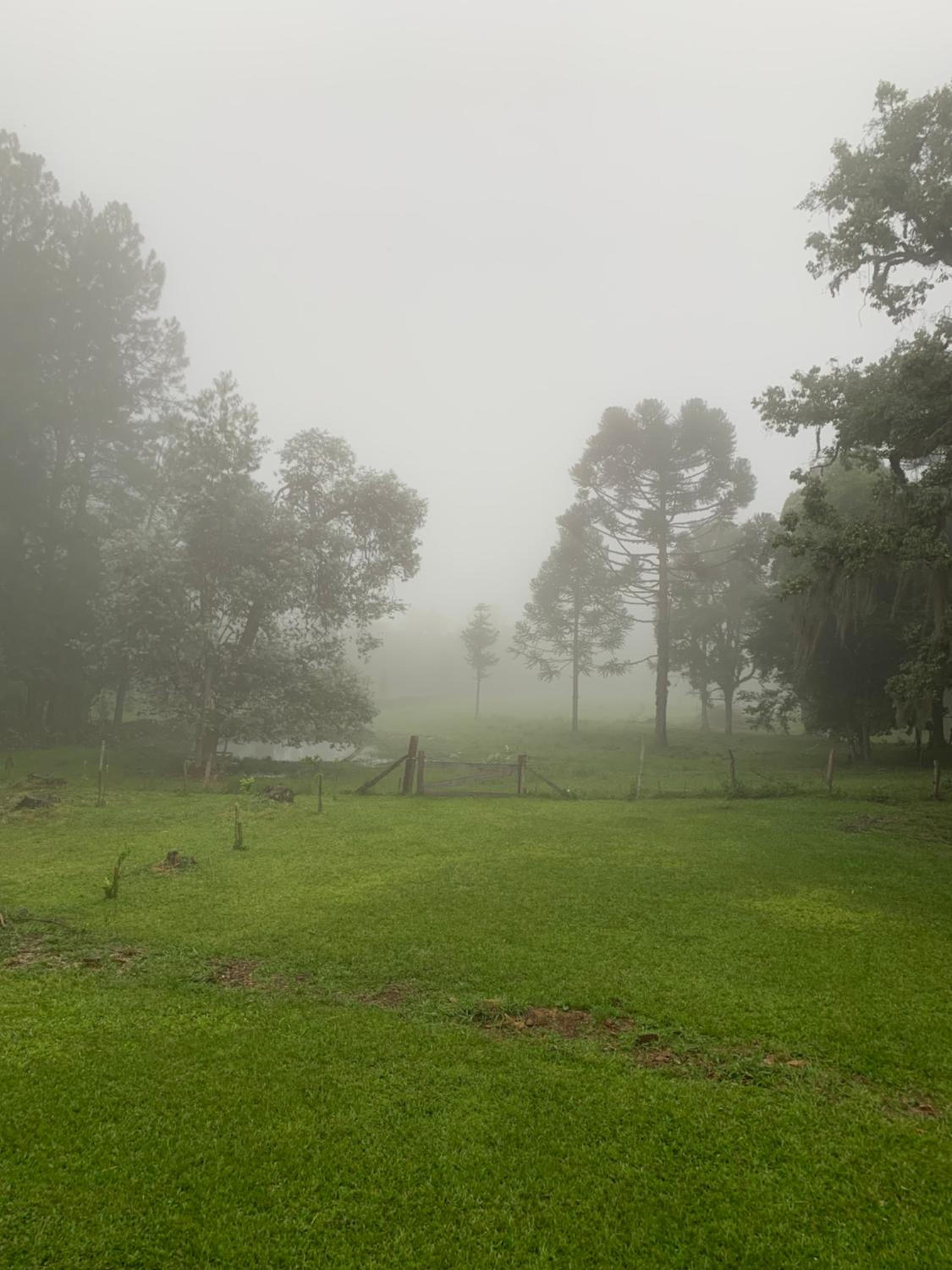 Casa na serra nova Petrópolis