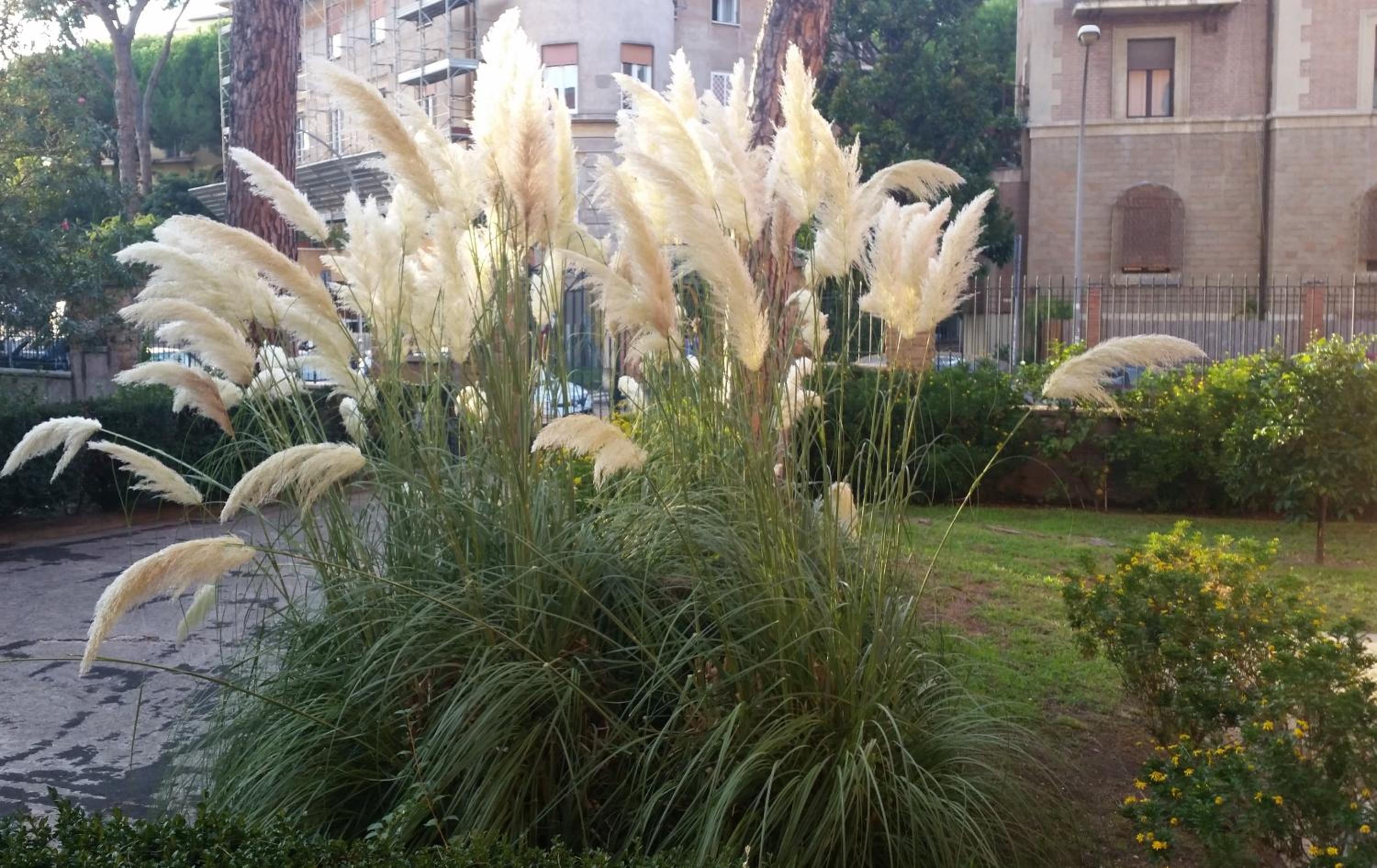 Vecchia Roma Resort