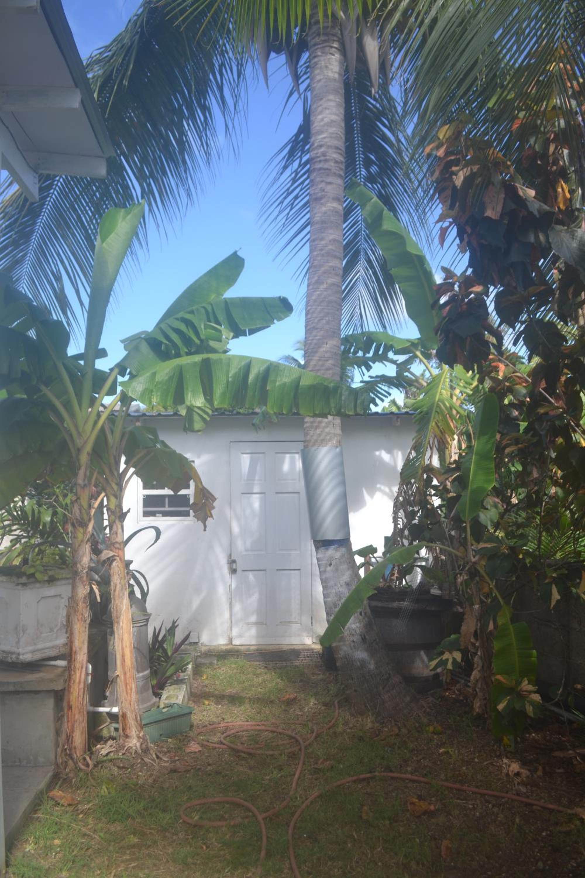 Tropical Escape