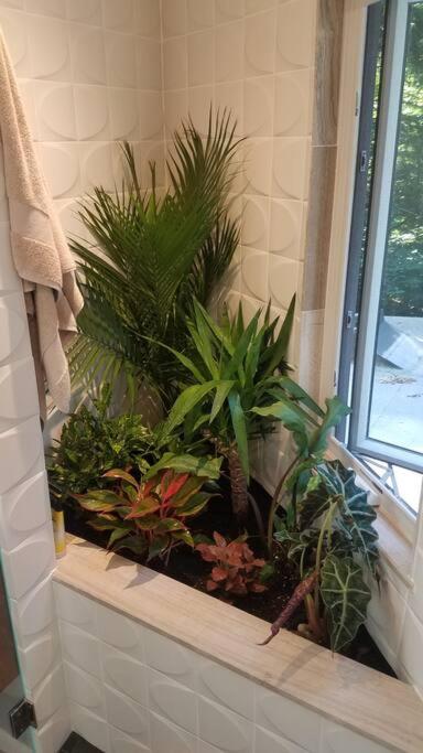 Photo 42
