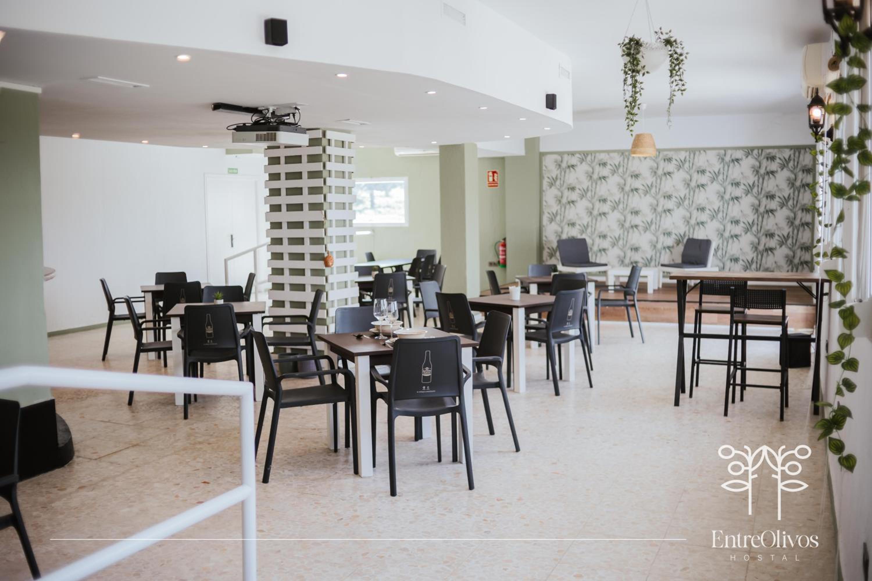 HOSTAL ENTREOLIVOS