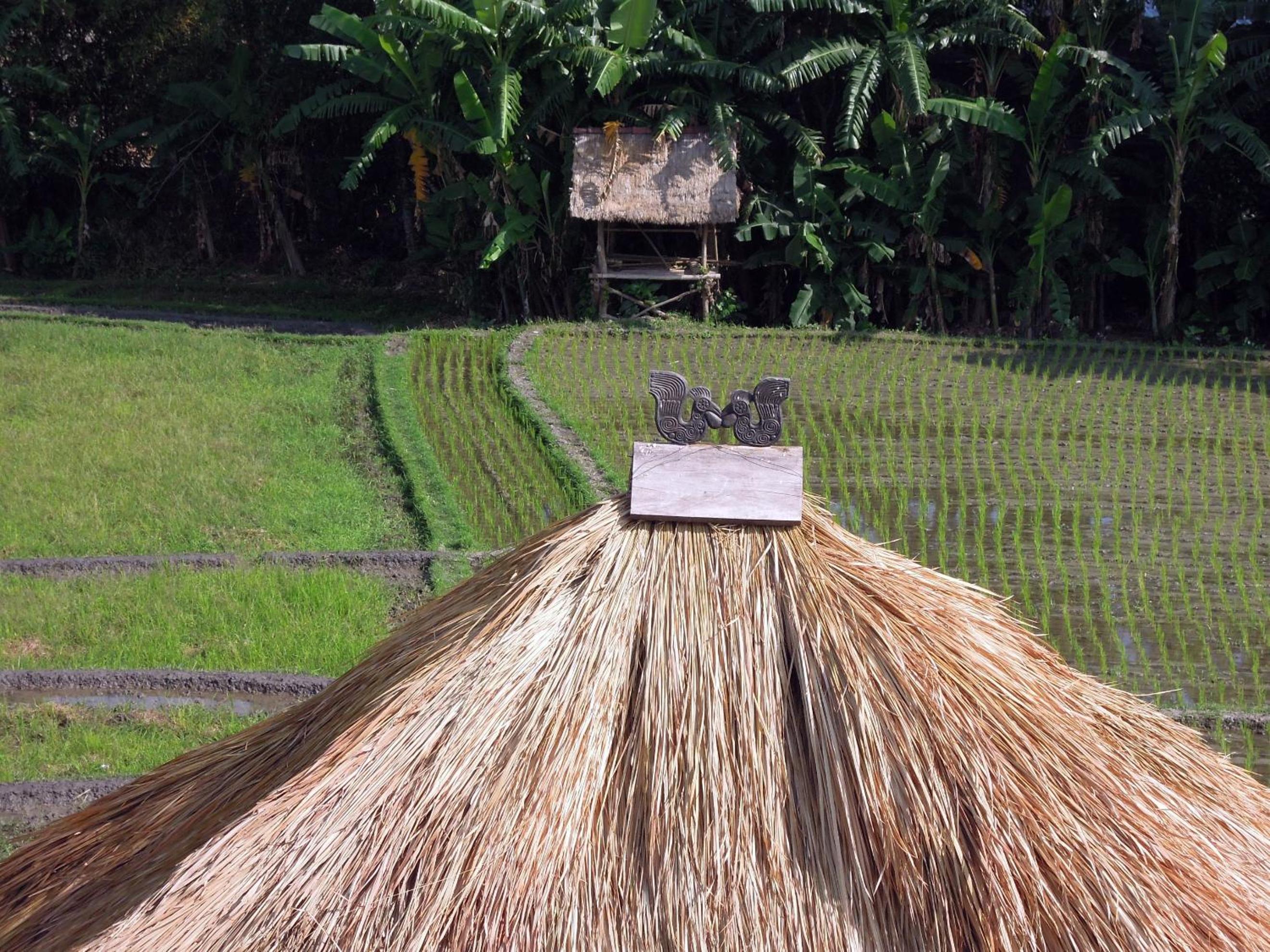 Jabunami Estate