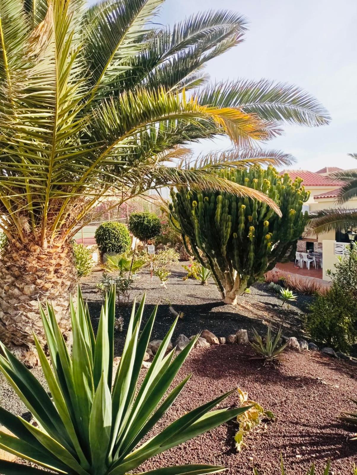 Casa La Pepita Las Lomas 117