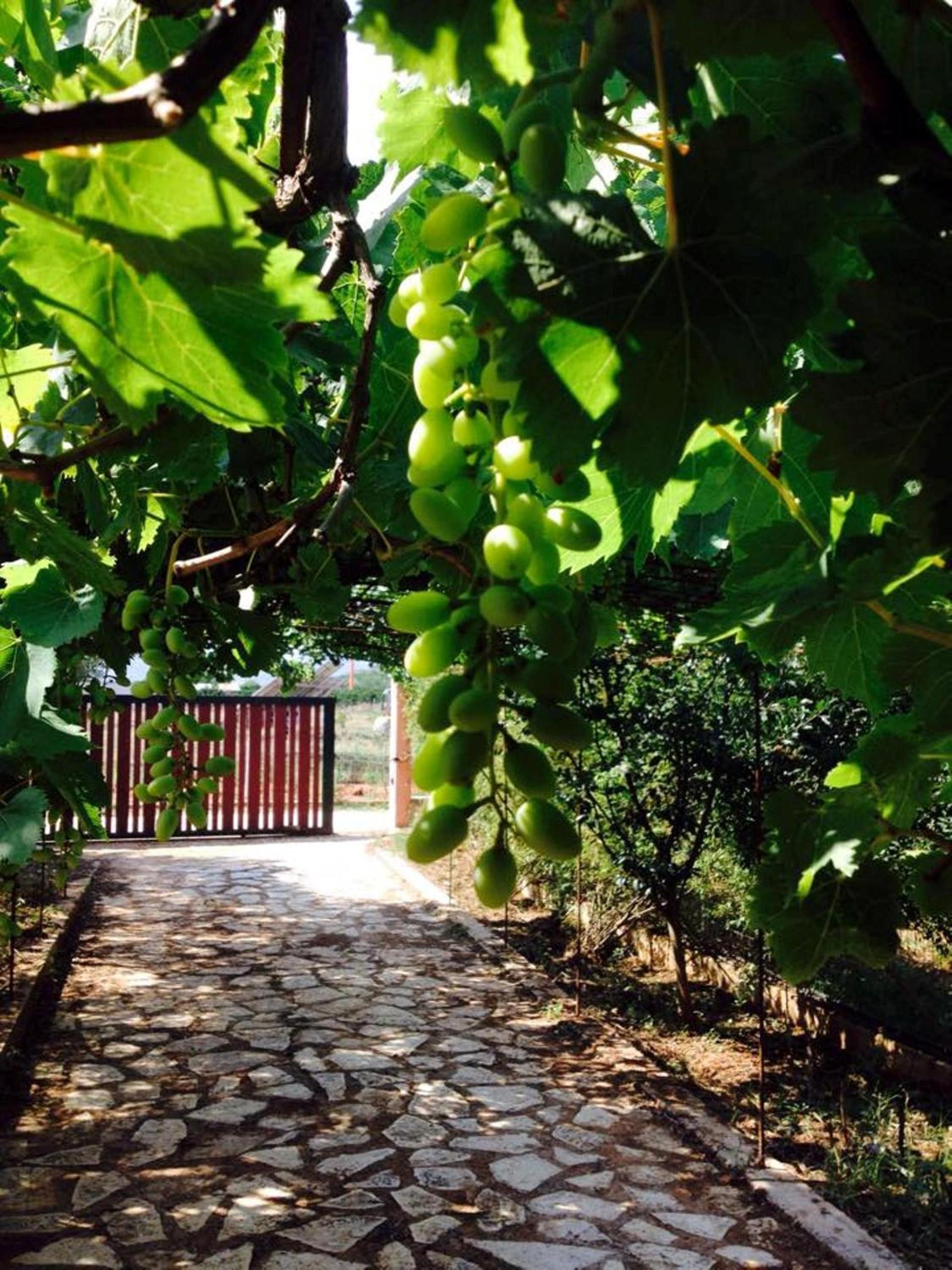 Agrotospita Country Houses