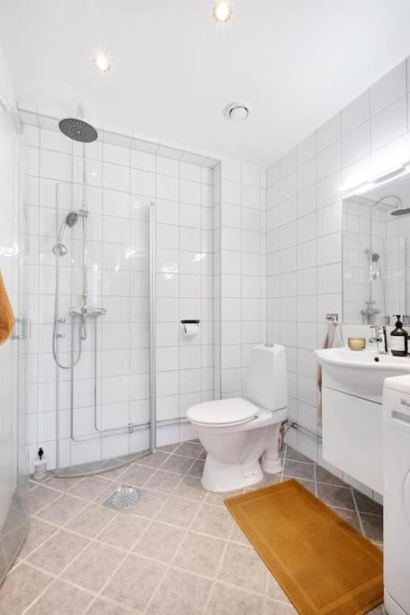 Loft in the middle of Oslo City Center -2 bedrooms view 3