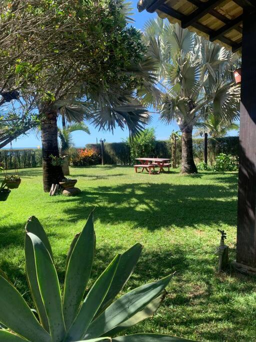 Casa das Palmeiras (Pé na Areia) - Maré Verde