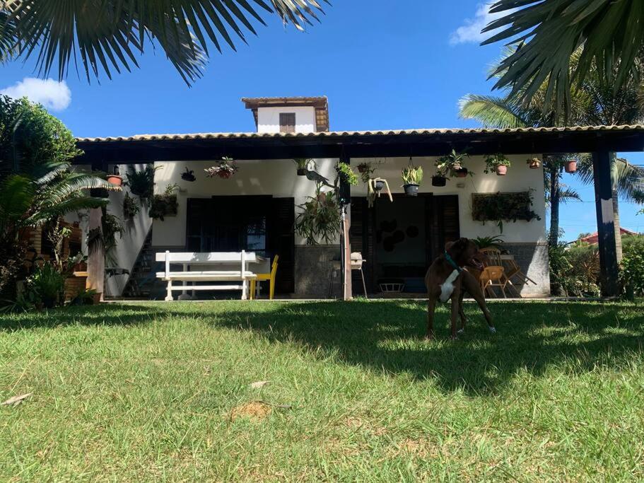 Casa das Palmeiras (Pé na Areia) - Maré Verde