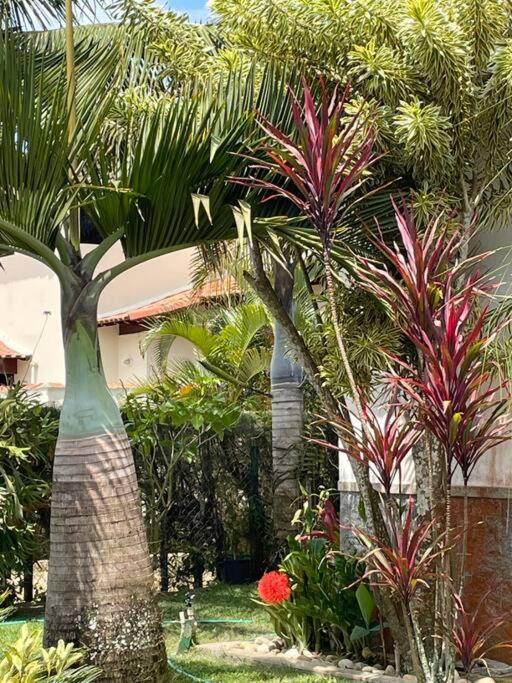 Casa das Palmeiras (Pé na Areia) - Maré Verde