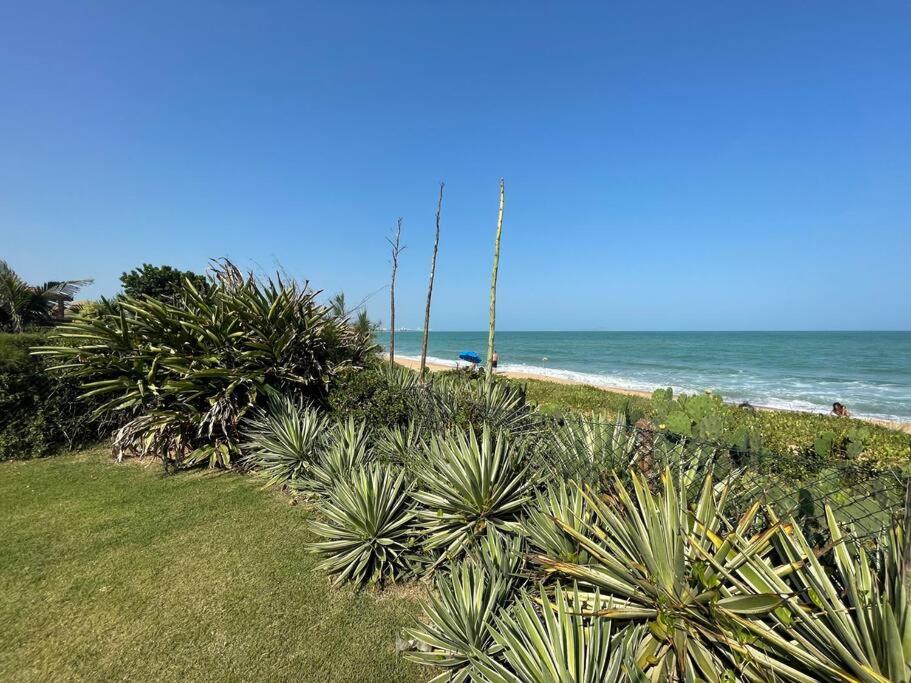 Casa de Vidro Pé na Areia