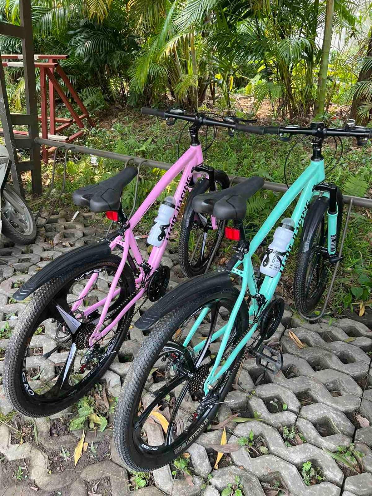 Photo 53