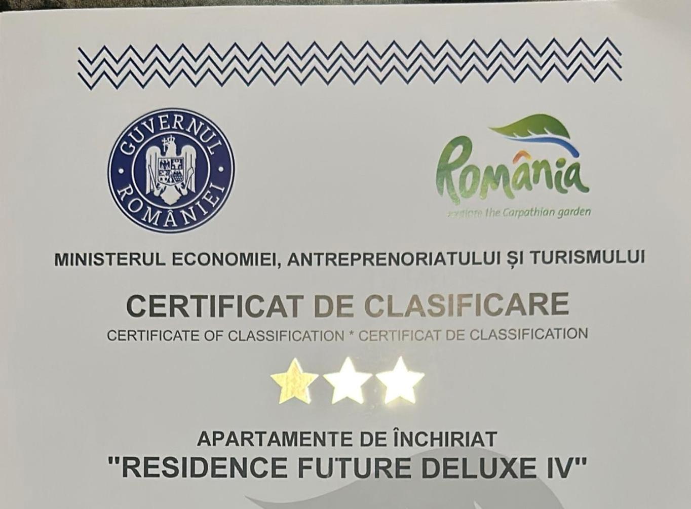 Residence Future Delux IV with Pool Timișoara view 2