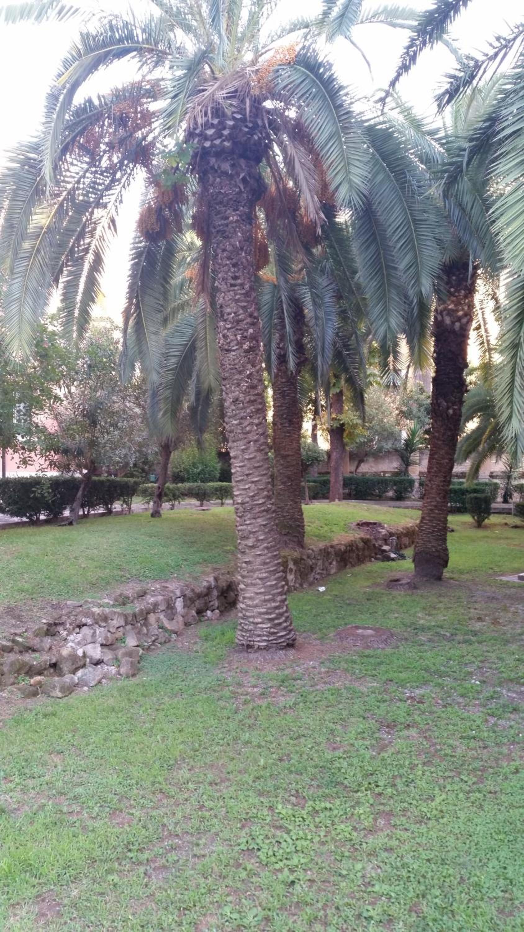 Vecchia Roma Resort