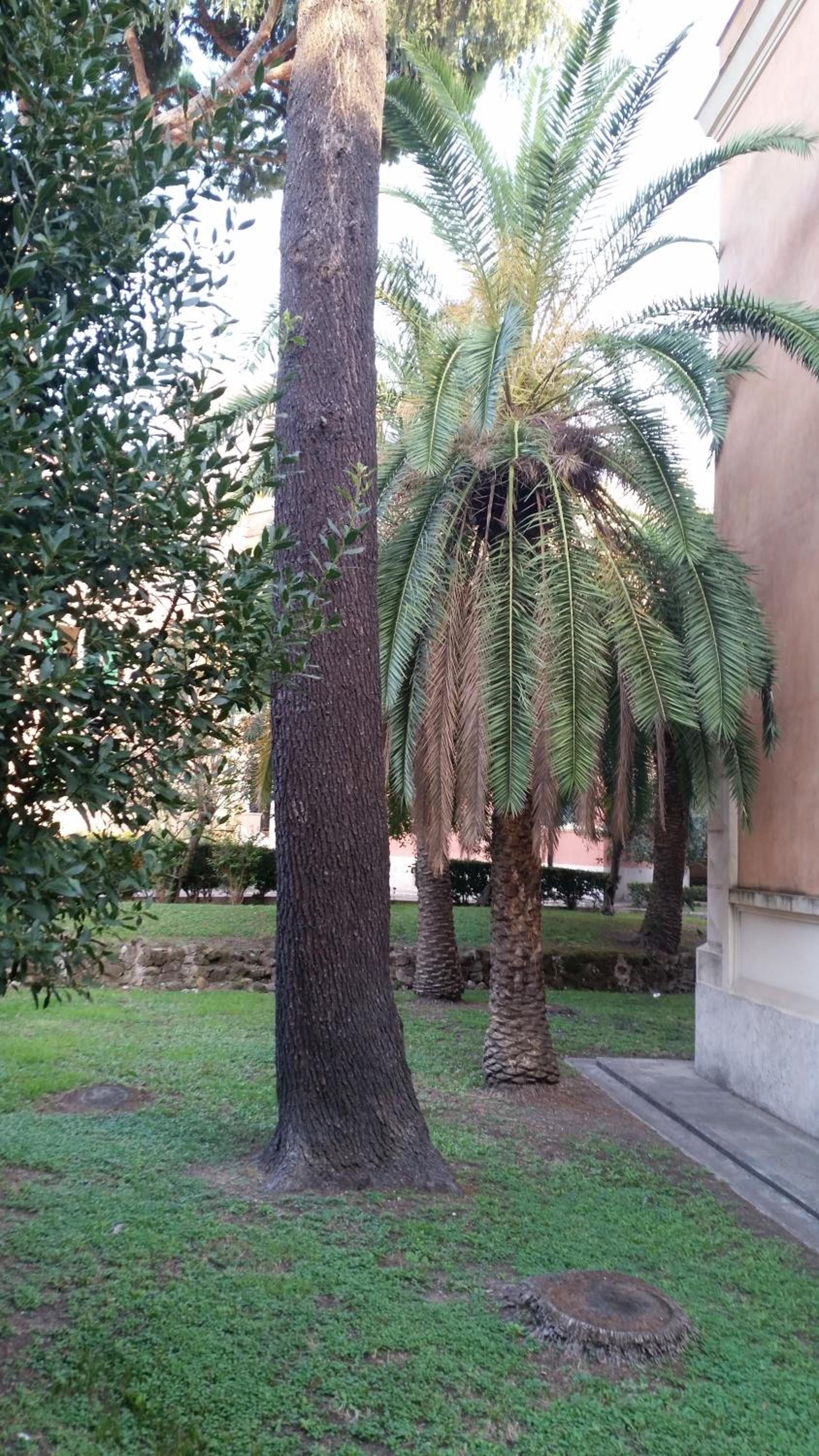 Vecchia Roma Resort