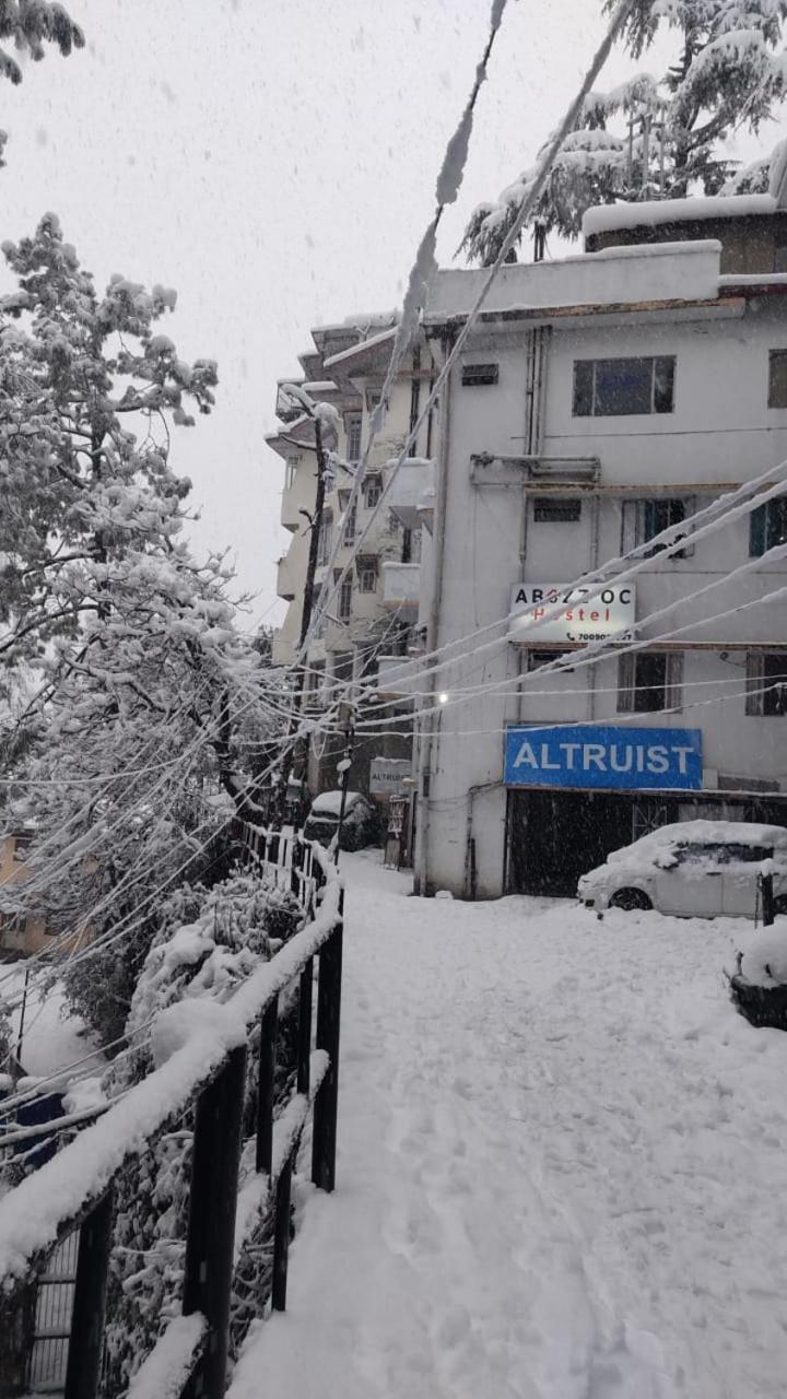 Abuzz Oxfordcaps Simla