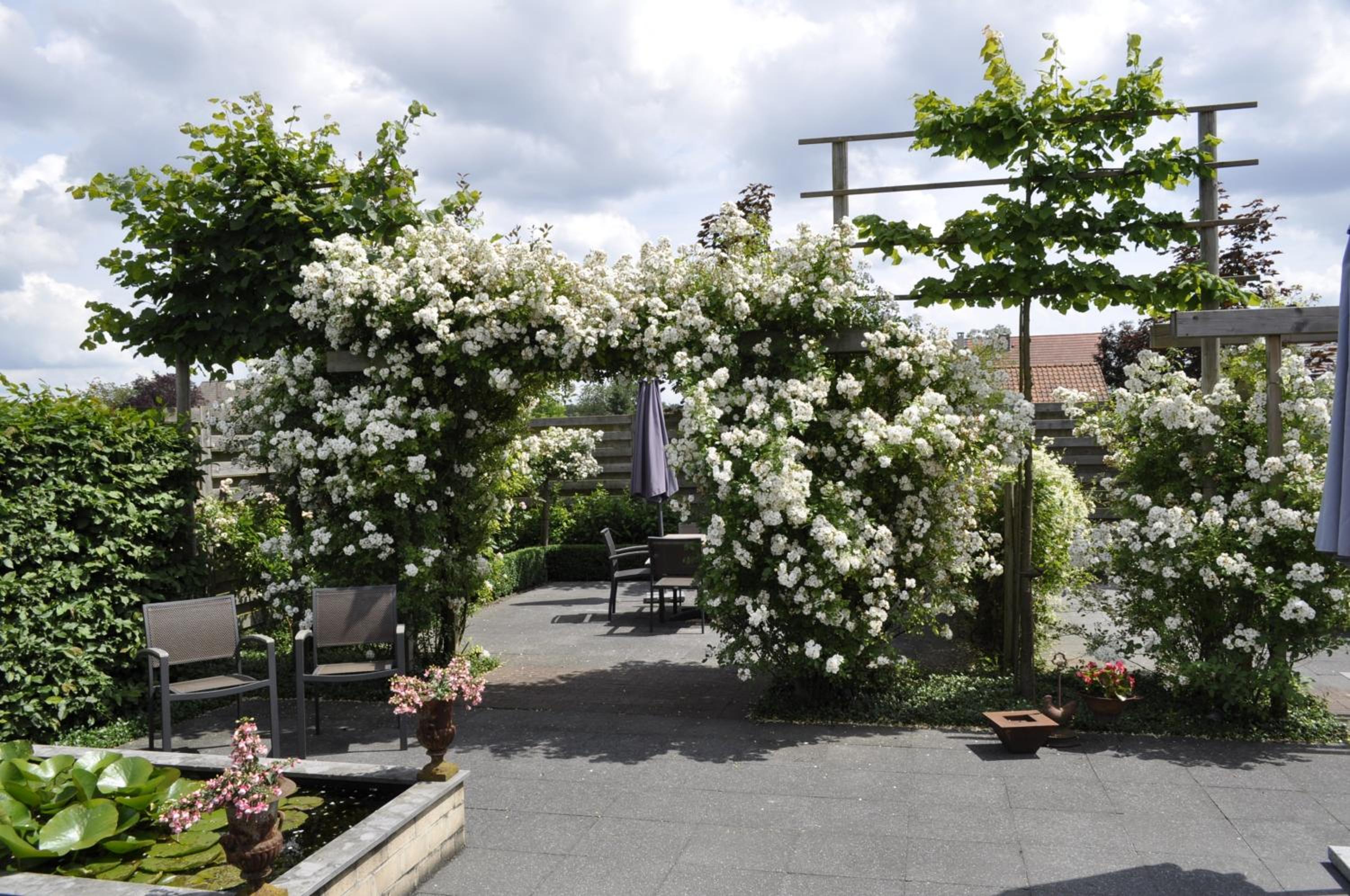 B&B De Edelsteen