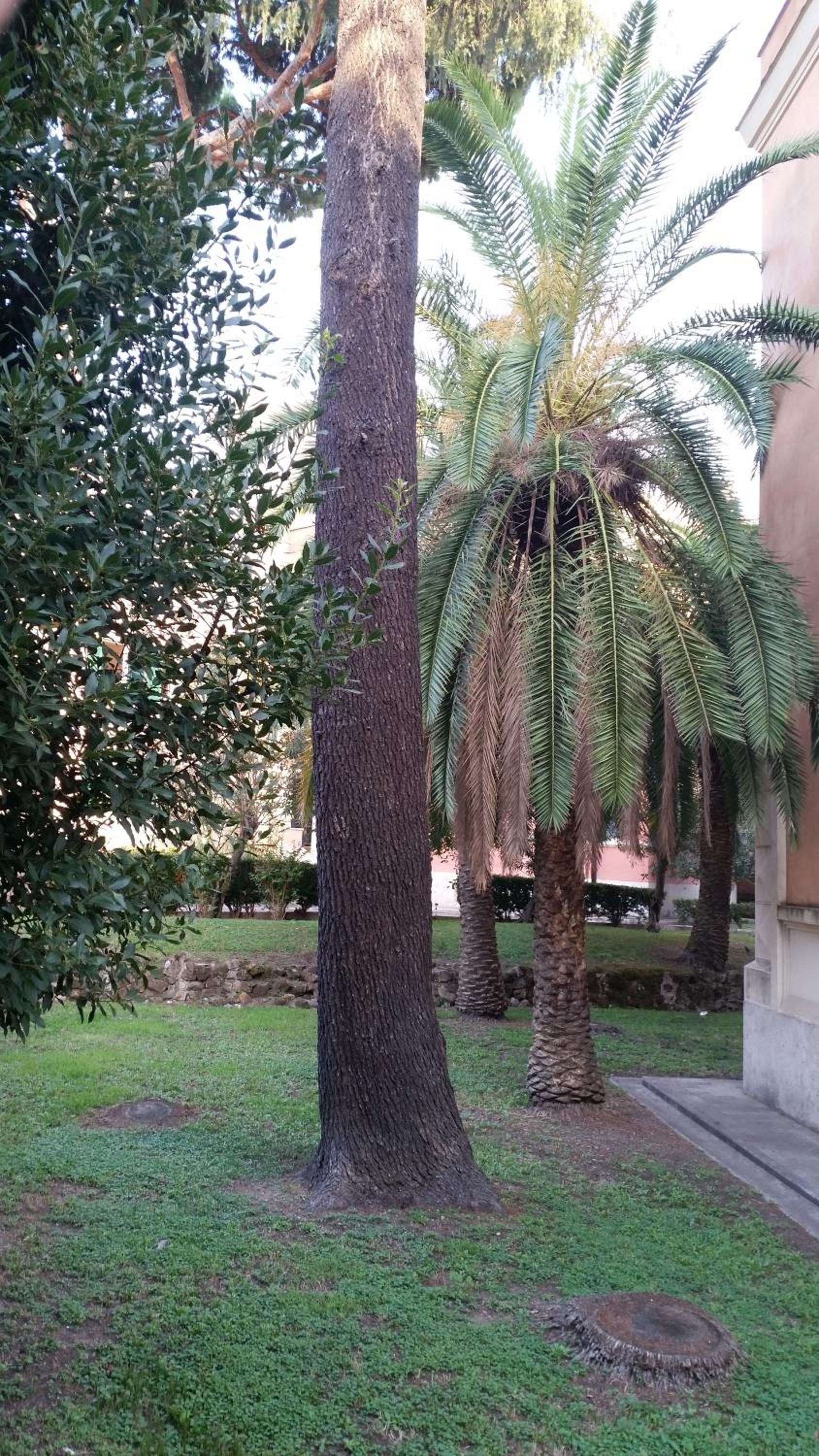 Vecchia Roma Resort