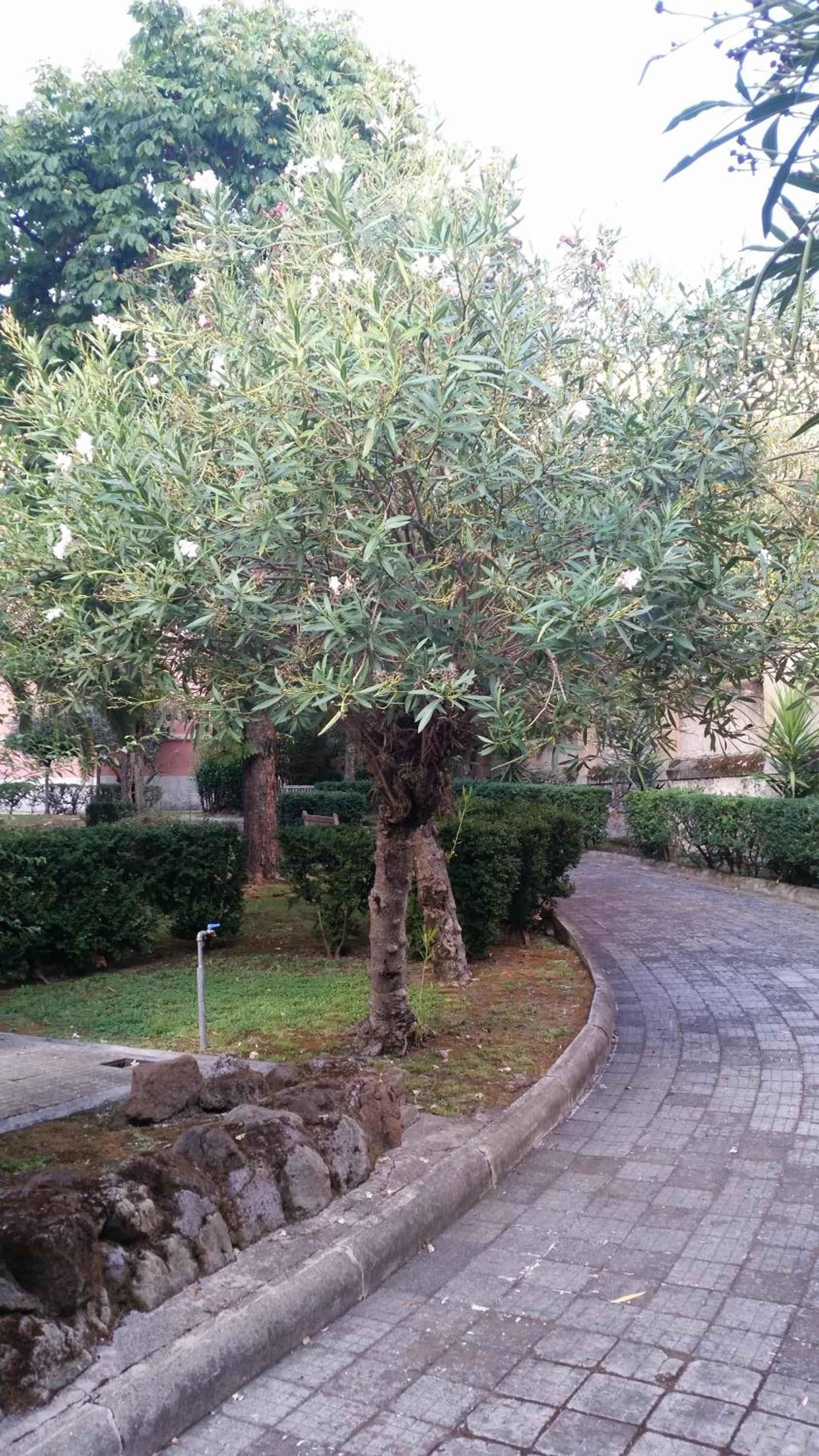 Vecchia Roma Resort