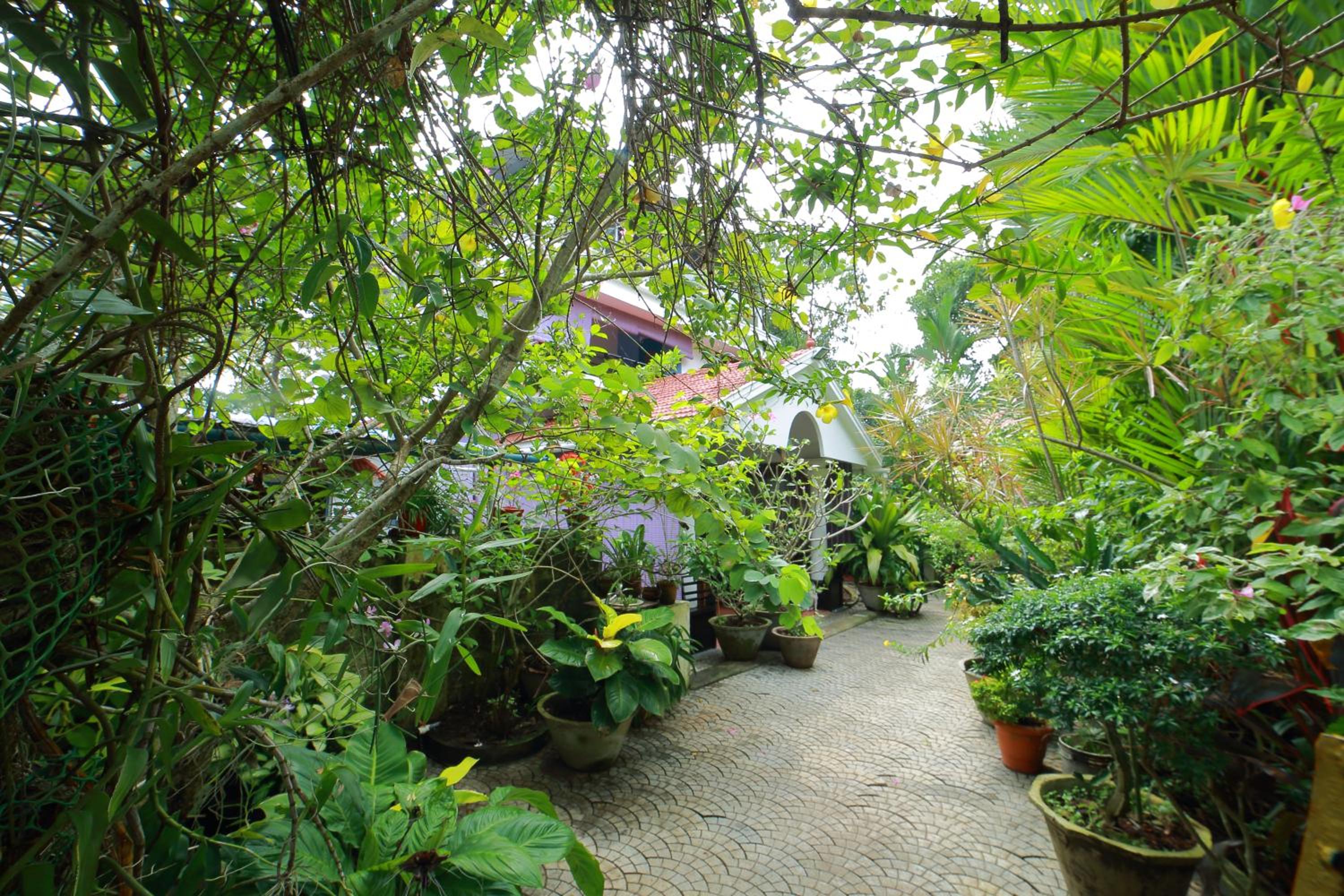 Bella Boutique Homestay