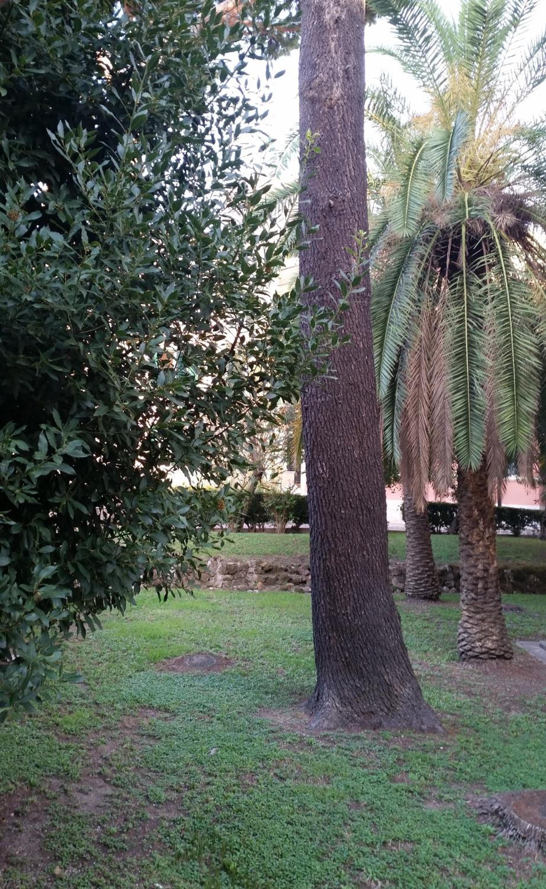 Vecchia Roma Resort