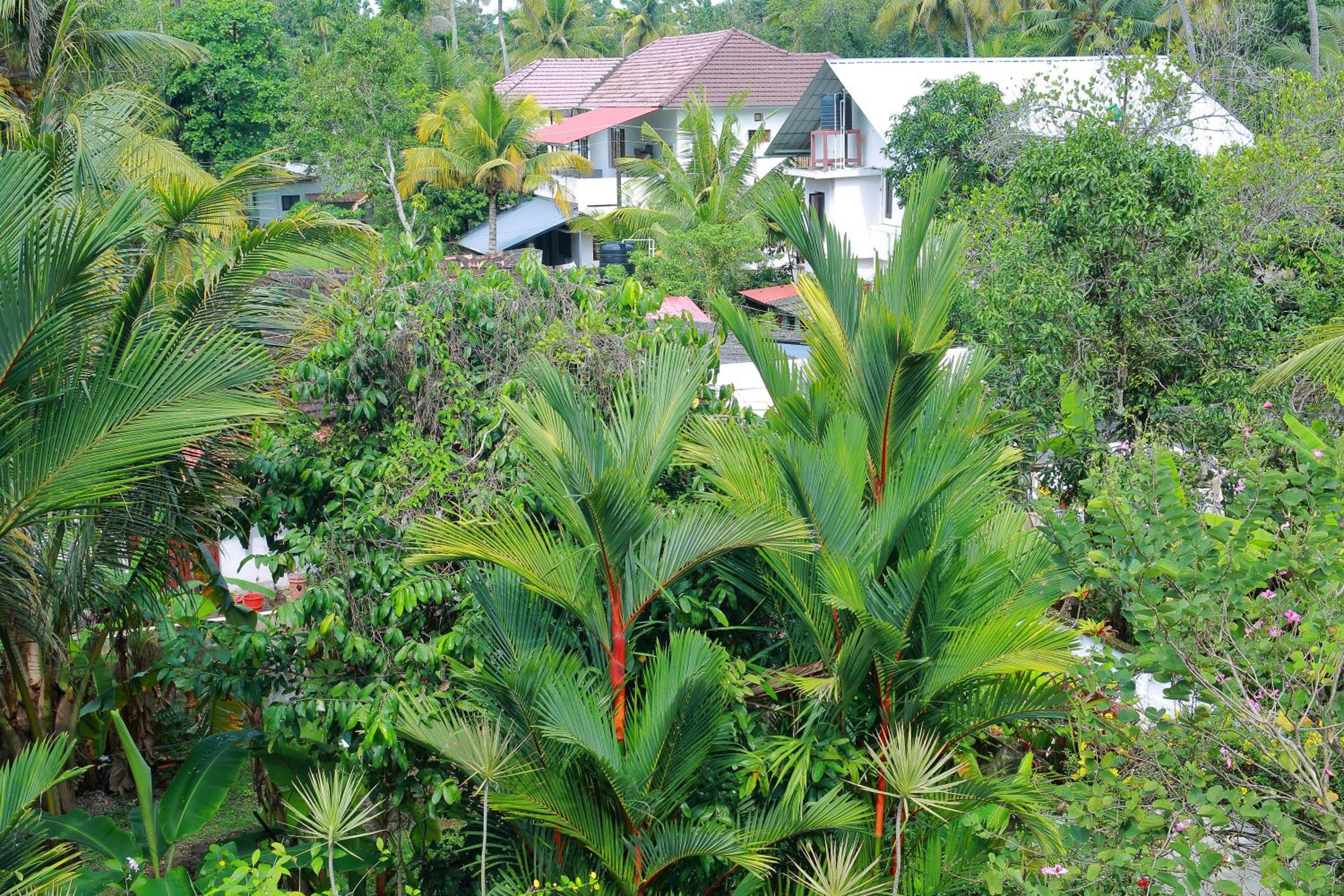 Bella Boutique Homestay