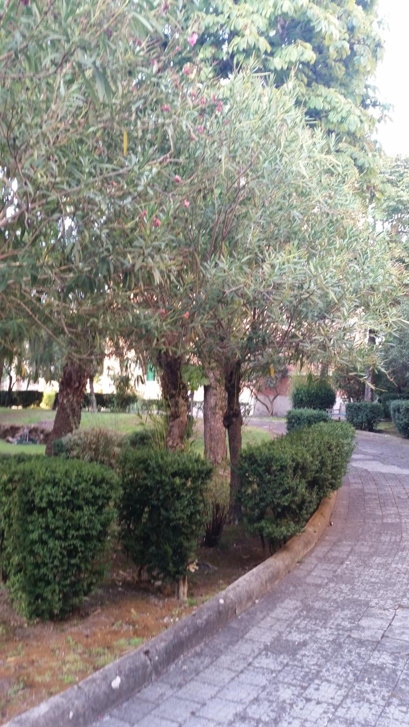 Vecchia Roma Resort