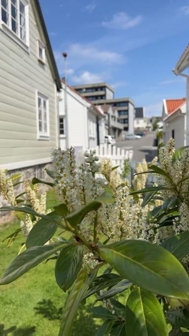 Elins gjestehus