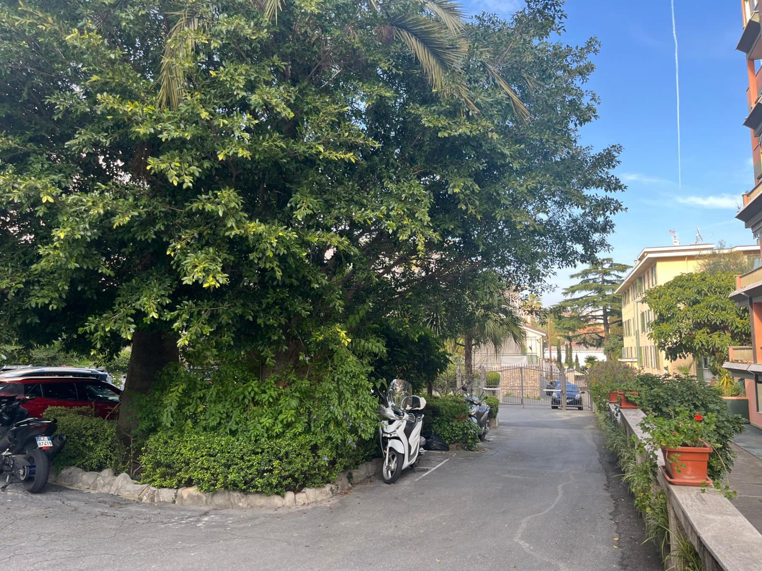 parking