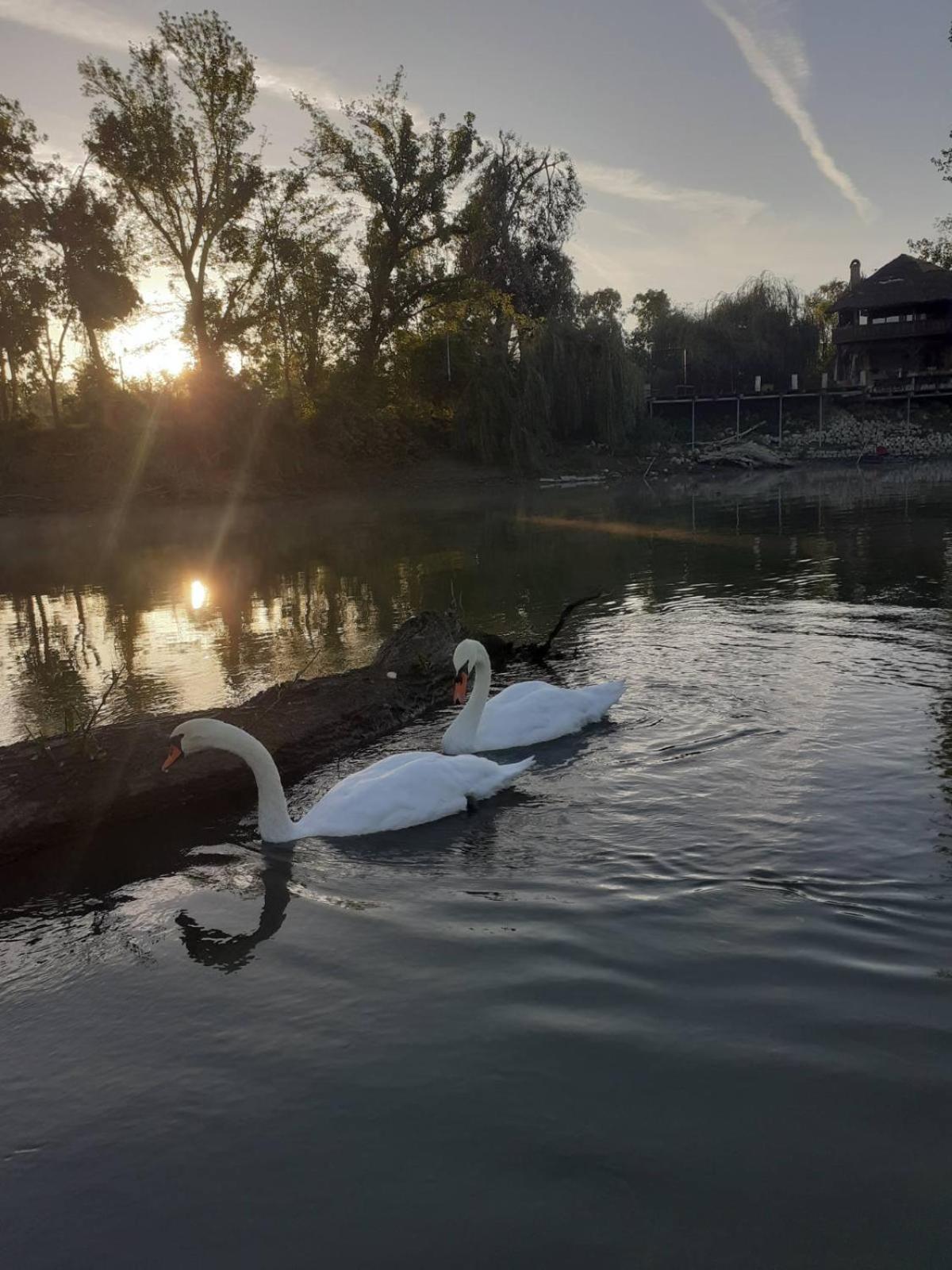 Vikendica DUNAV