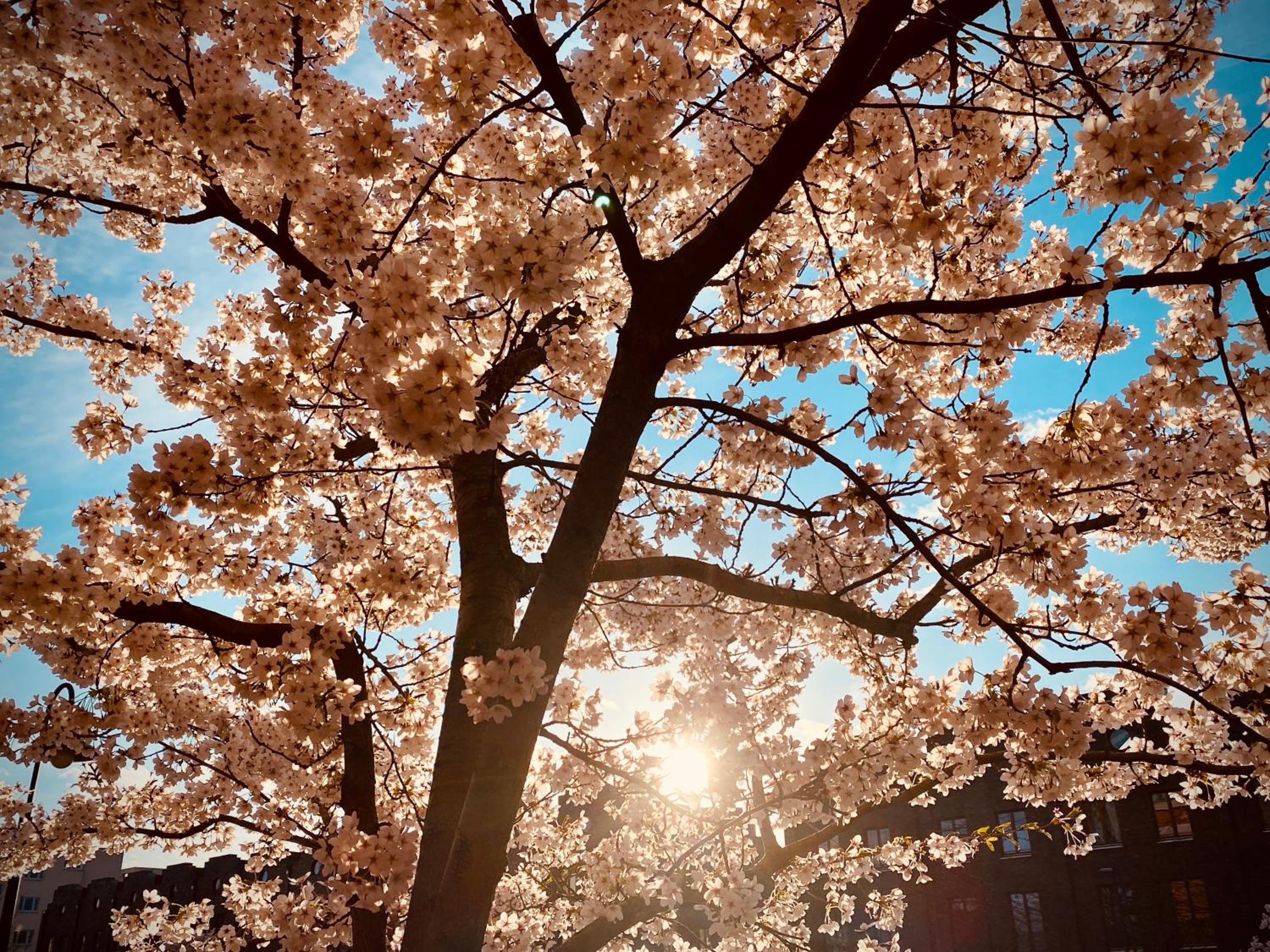 Schöne Aussichten mitten in Berlin - il sole