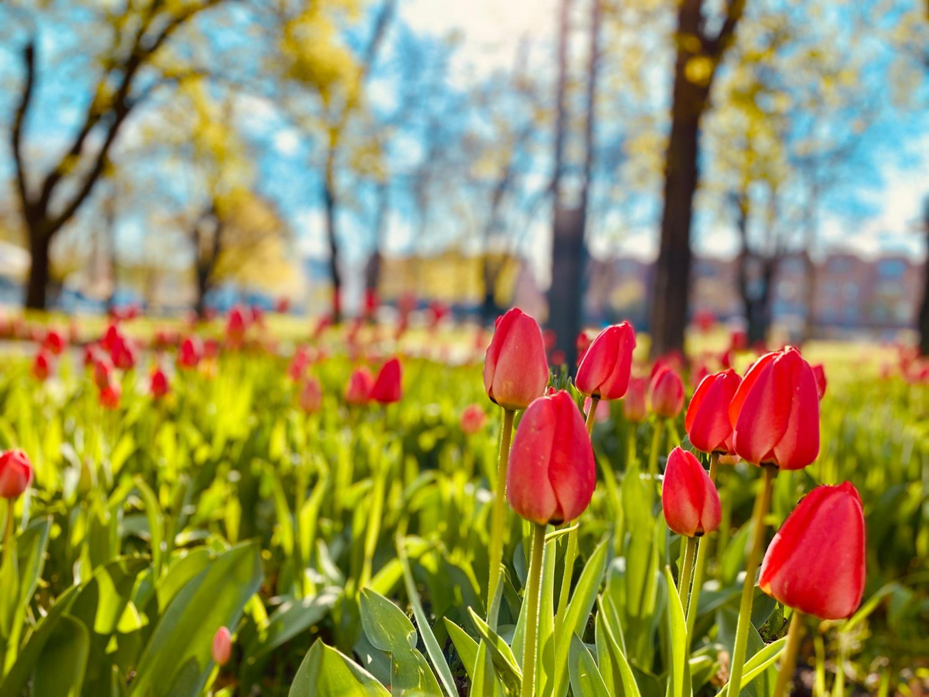 Schöne Aussichten mitten in Berlin - il sole