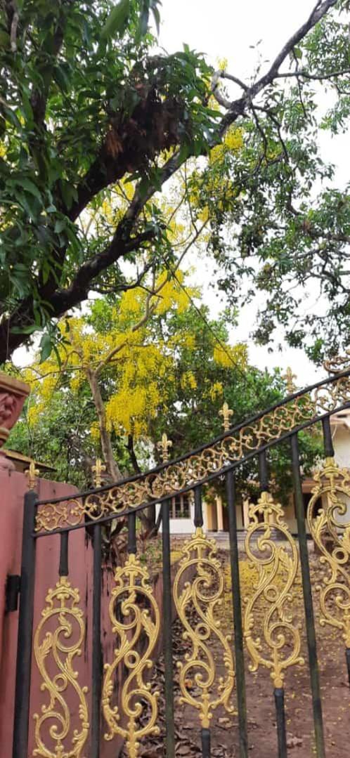 Souparnika Homestay