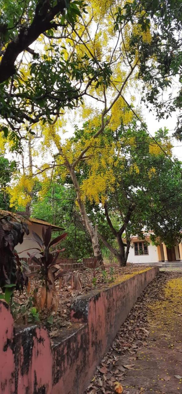 Souparnika Homestay