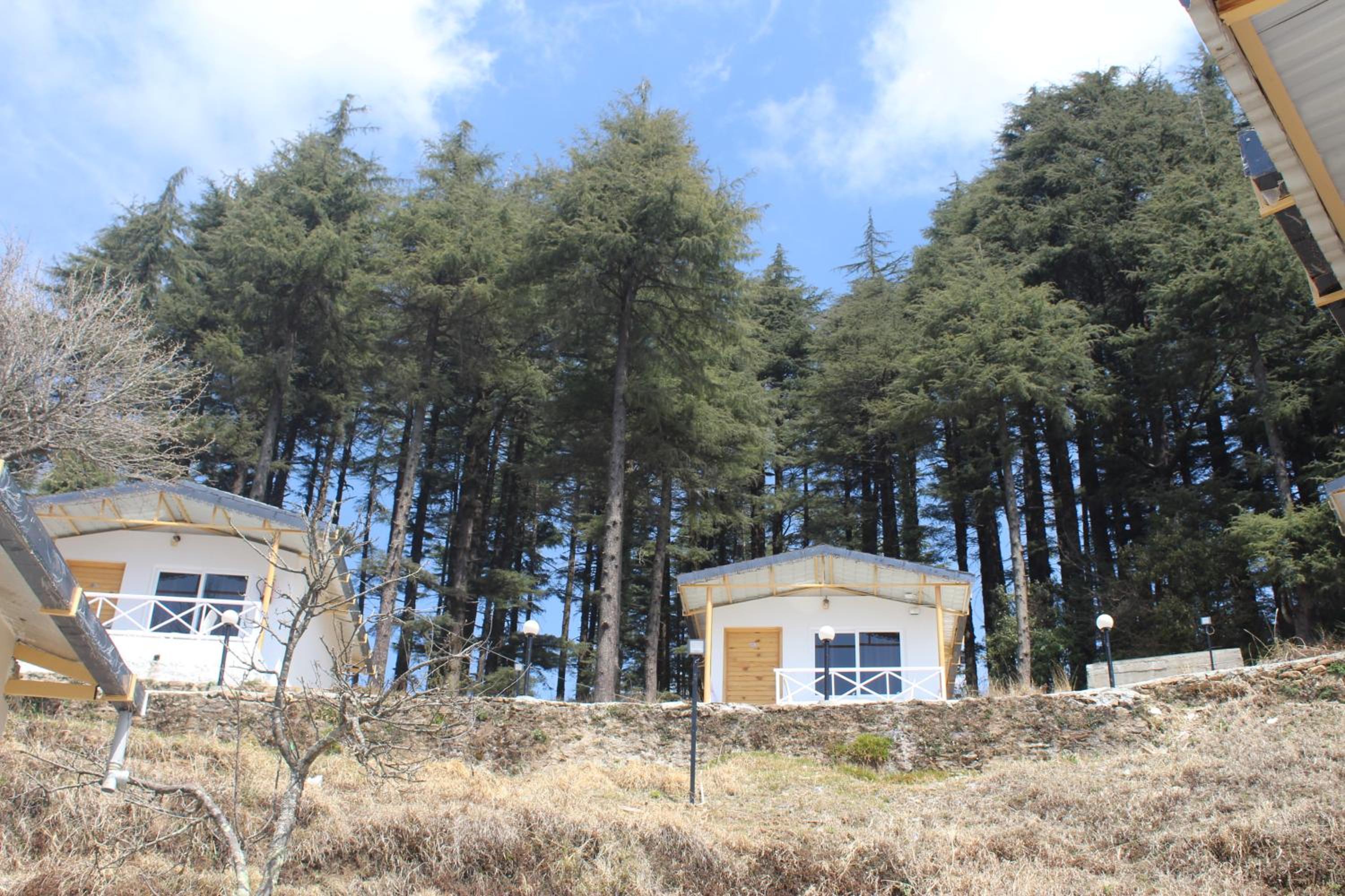 The Deodar Stays view 2