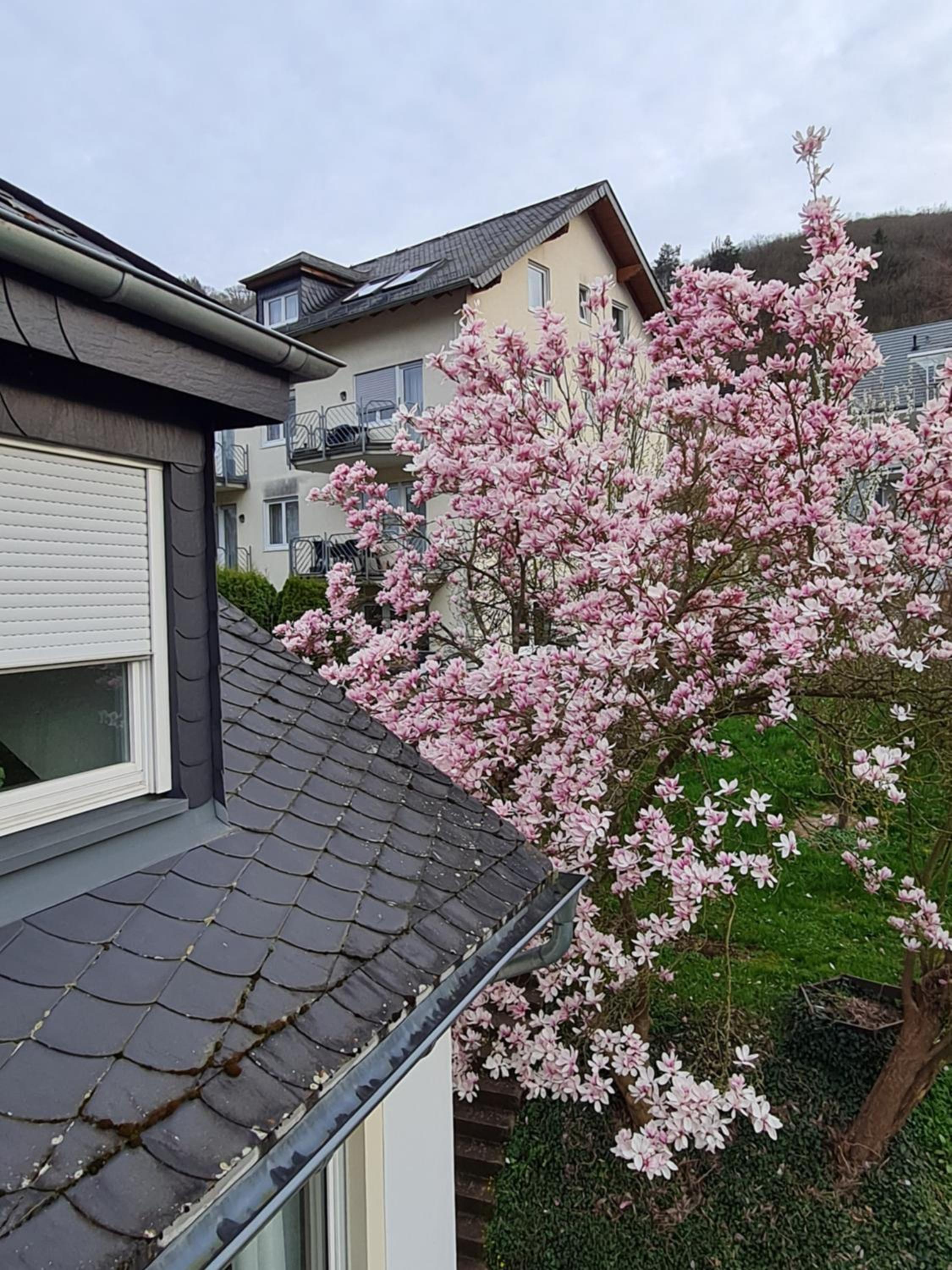 Ferienhaus Am Reilsbach