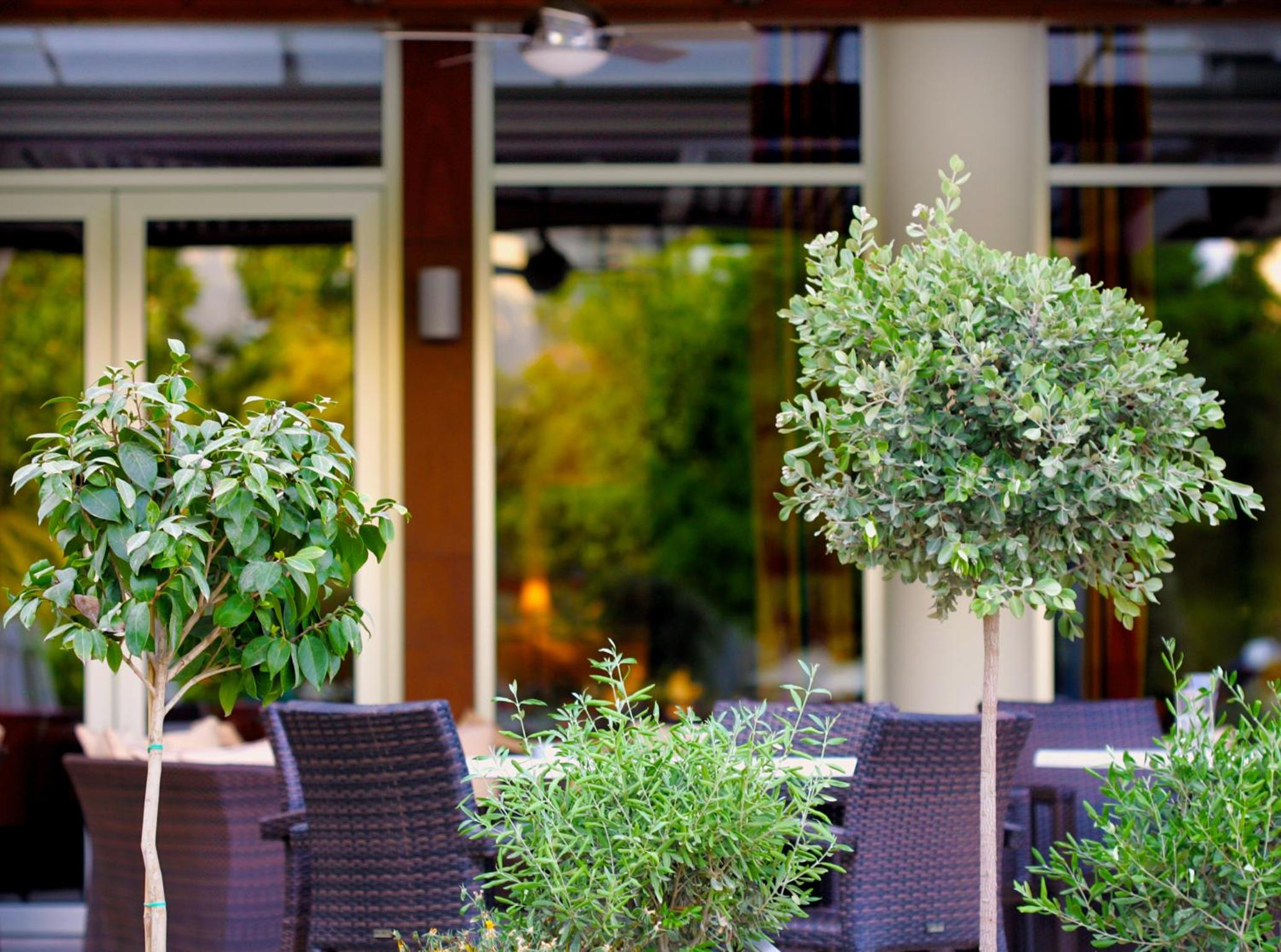 Limassol Vacations - Ajax Hotel - Property Image 45