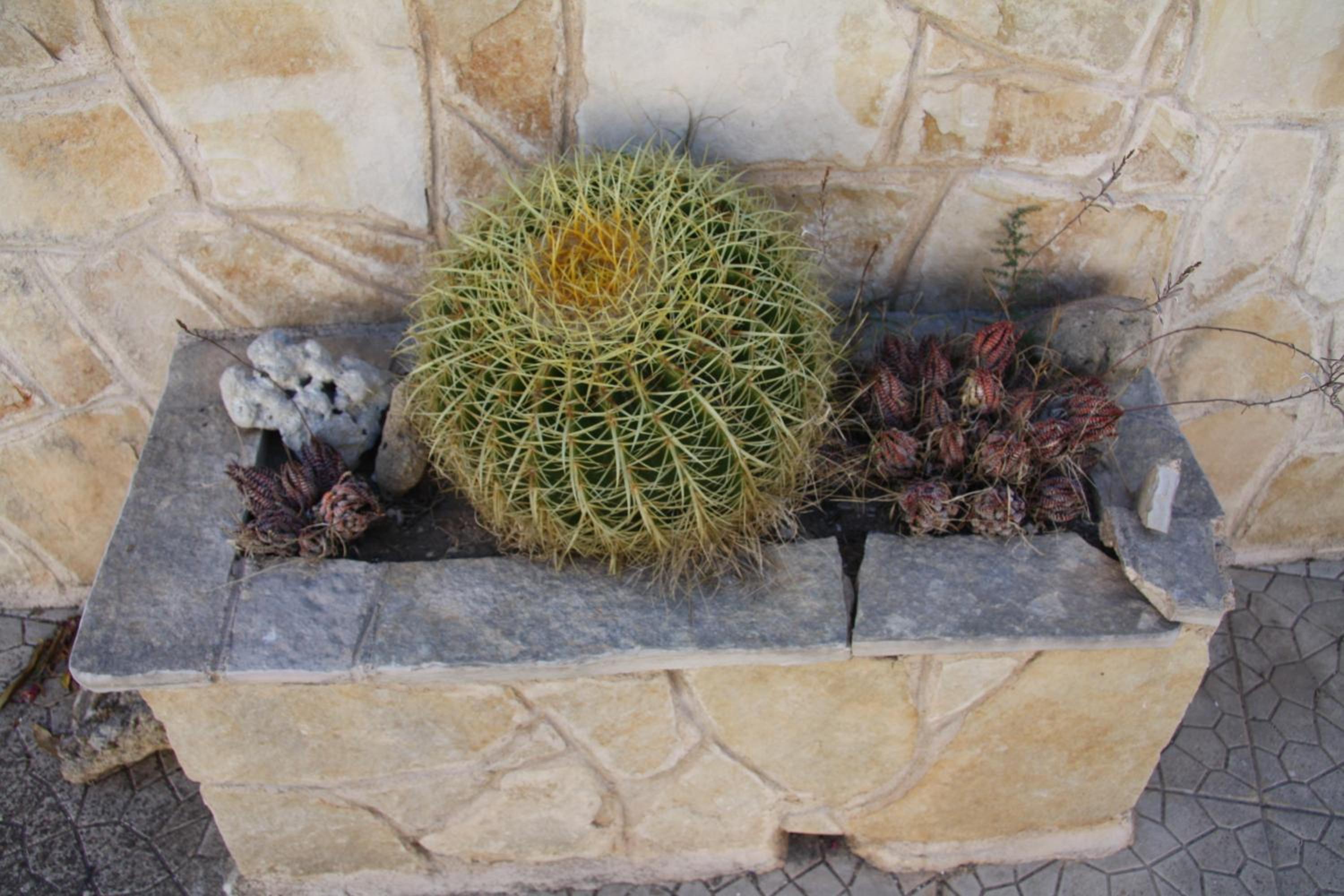 Photo 20
