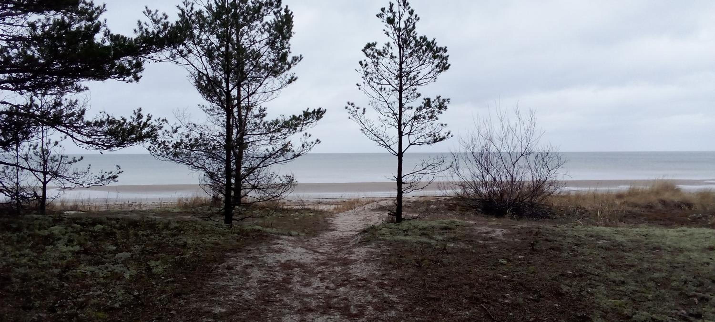 Atpūtasvietapiejūras Kotedža Piekrastē