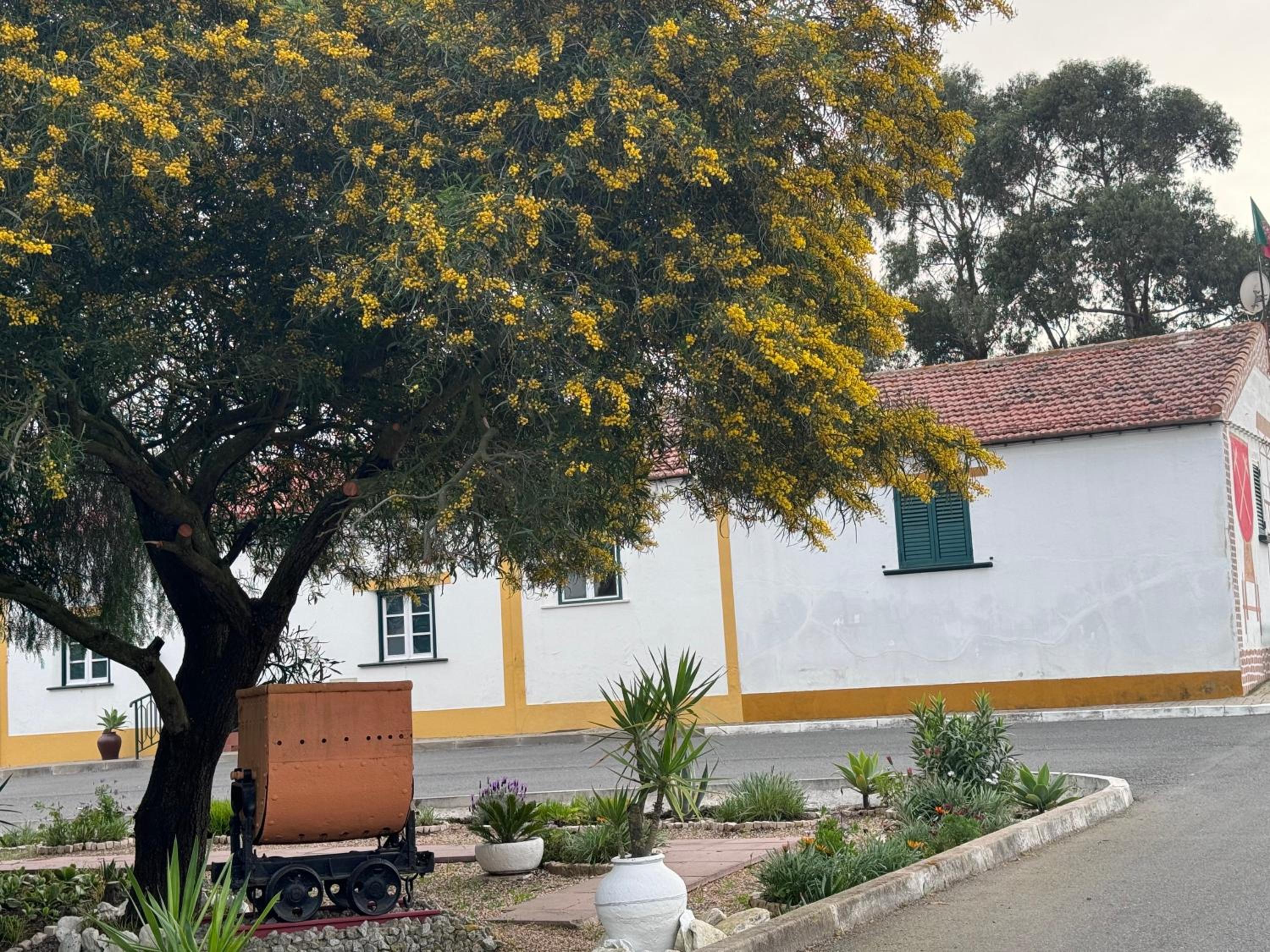 Casa do Ti'Xico view 3