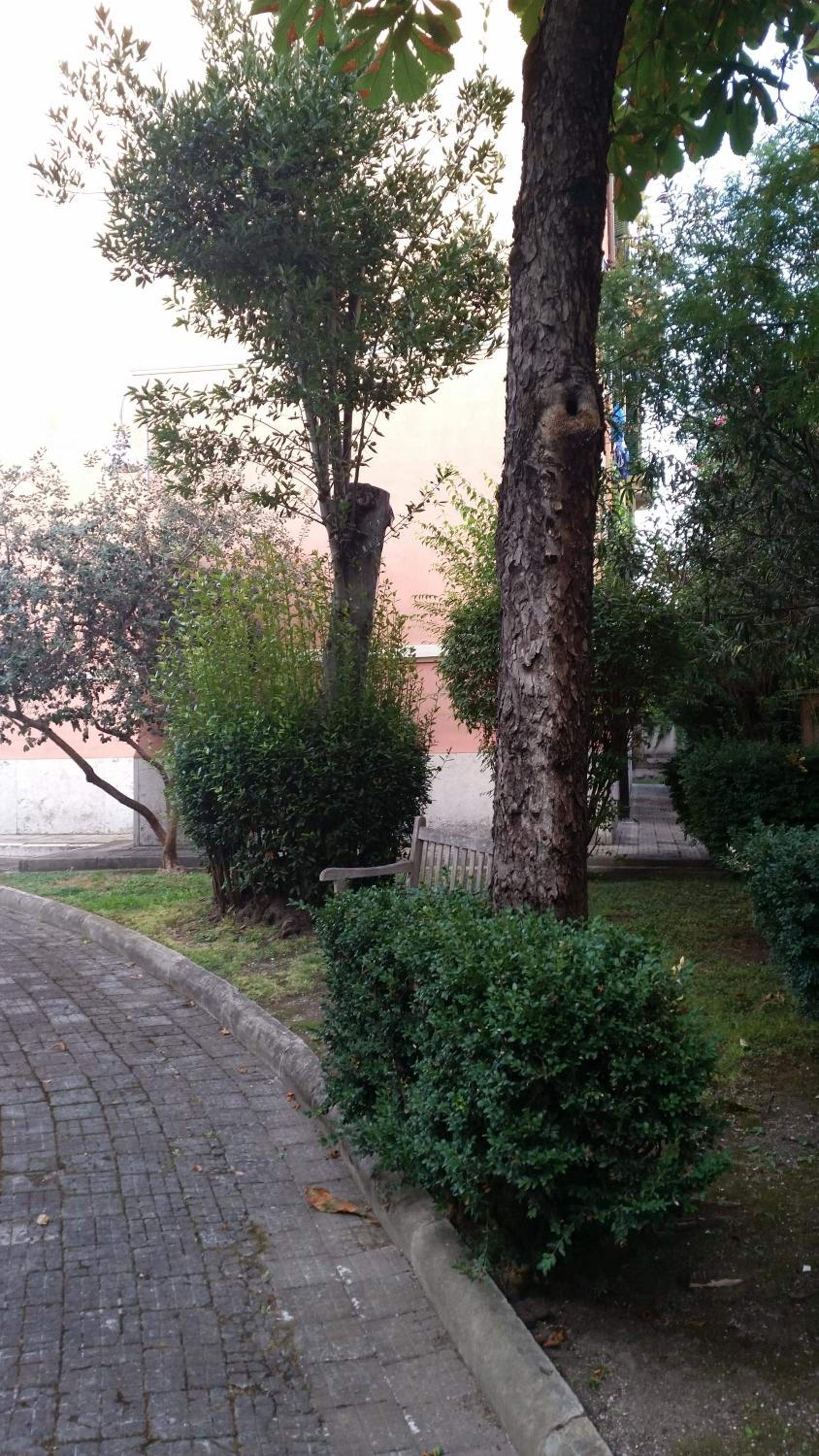 Vecchia Roma Resort