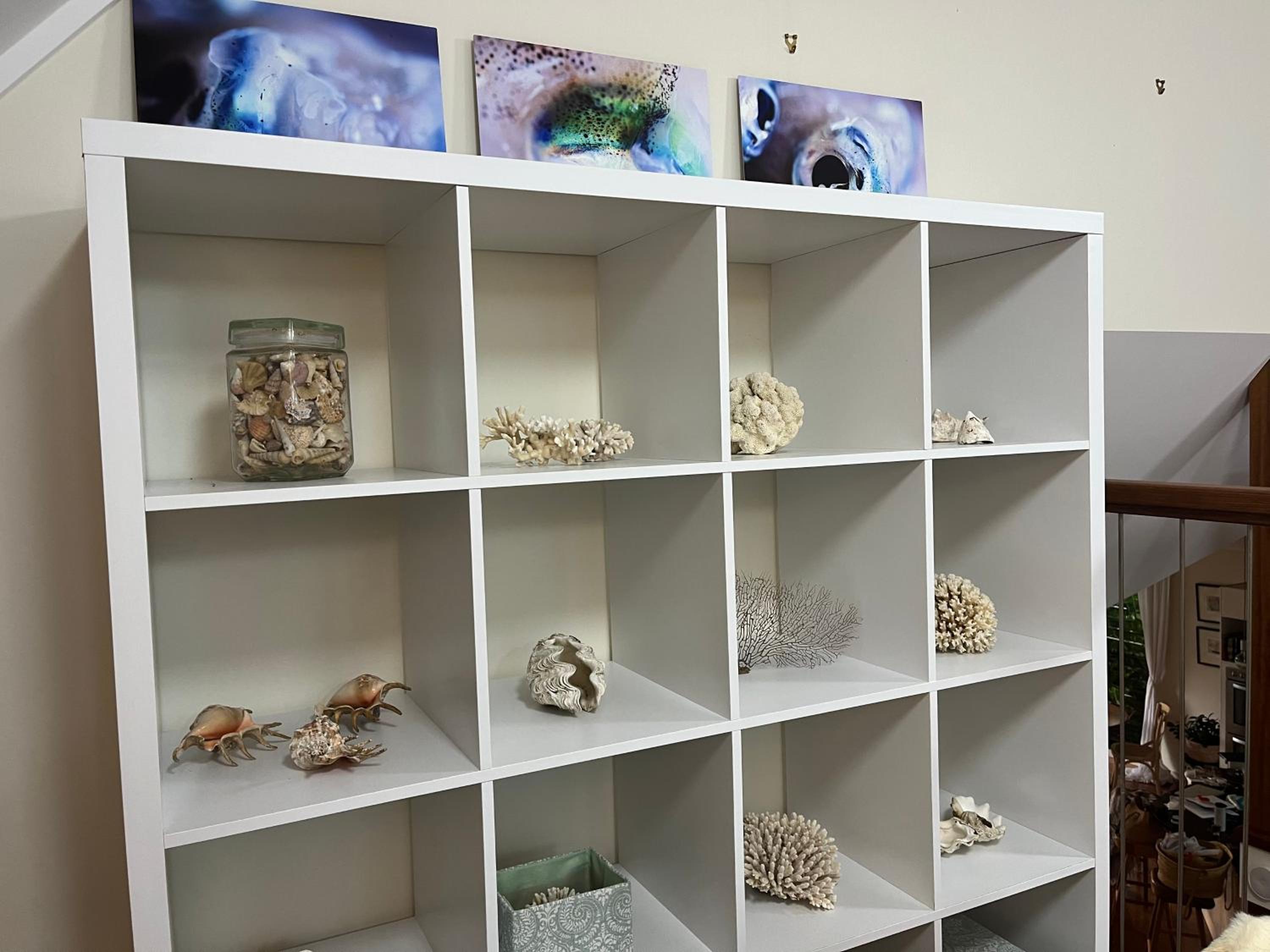 The Cowrie Shell, Hydeaway Bay