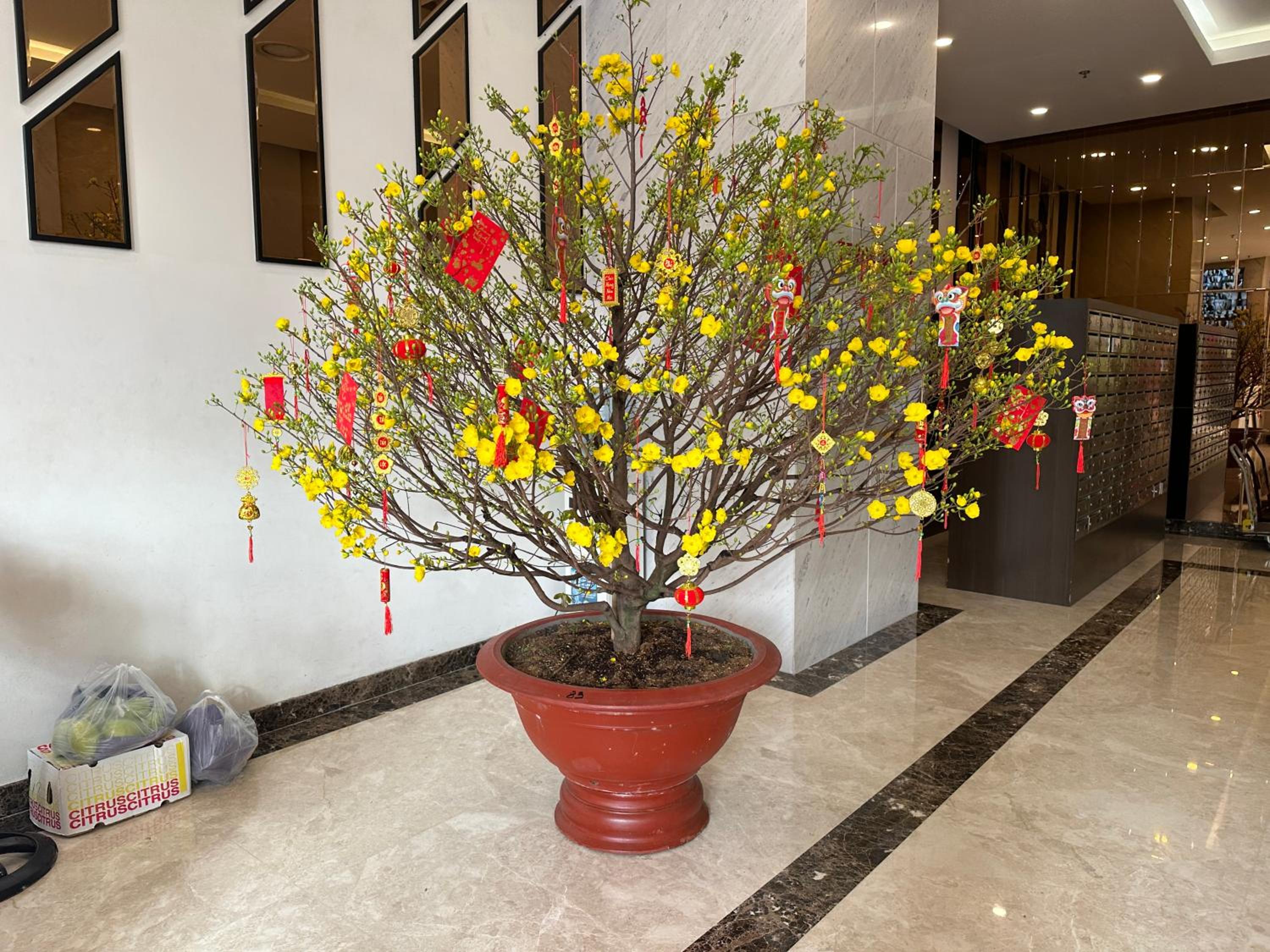 Modern 2BR Condo 12 Ho Chi Minh Center at Terra Royal by Orli Studio