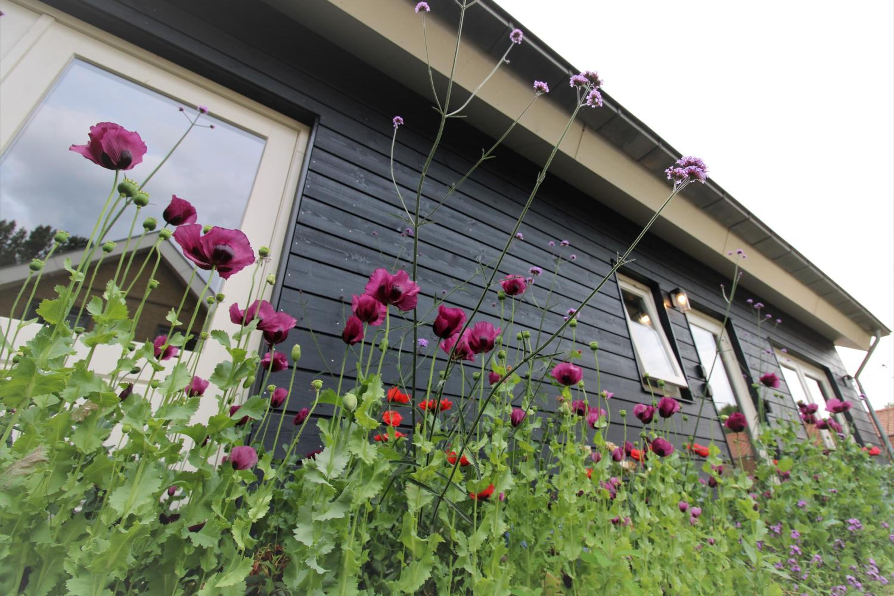 Vakantiehuis bloom-inn gastvrij genieten view 3