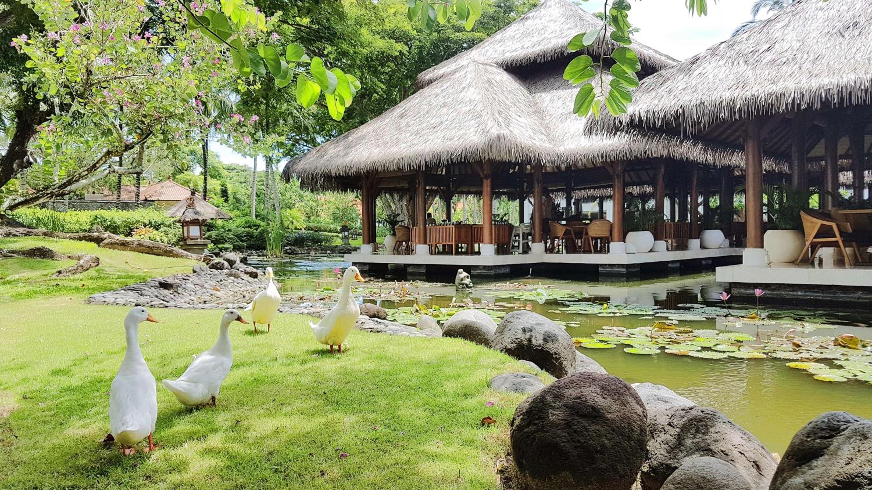 Grand Hyatt Bali 14