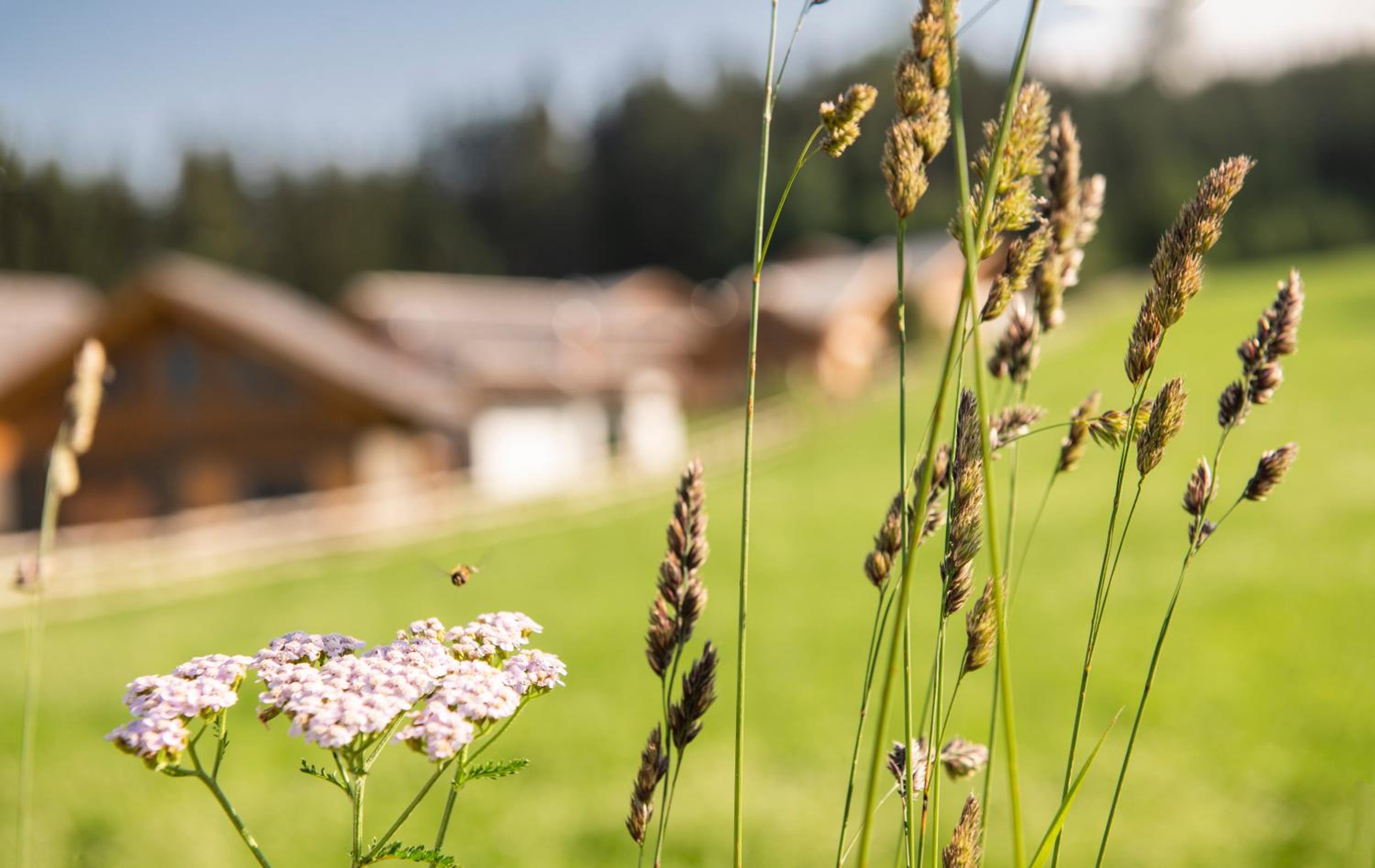 Lerchpeuntgut Alpenfreud Apartments