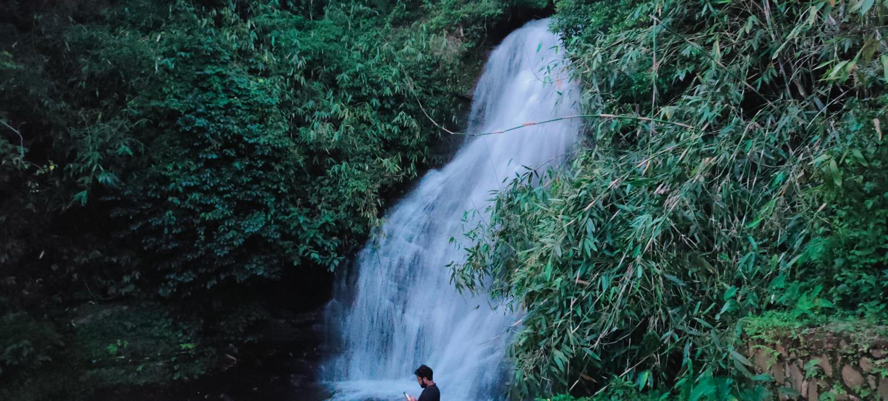 GREEN LUSH
