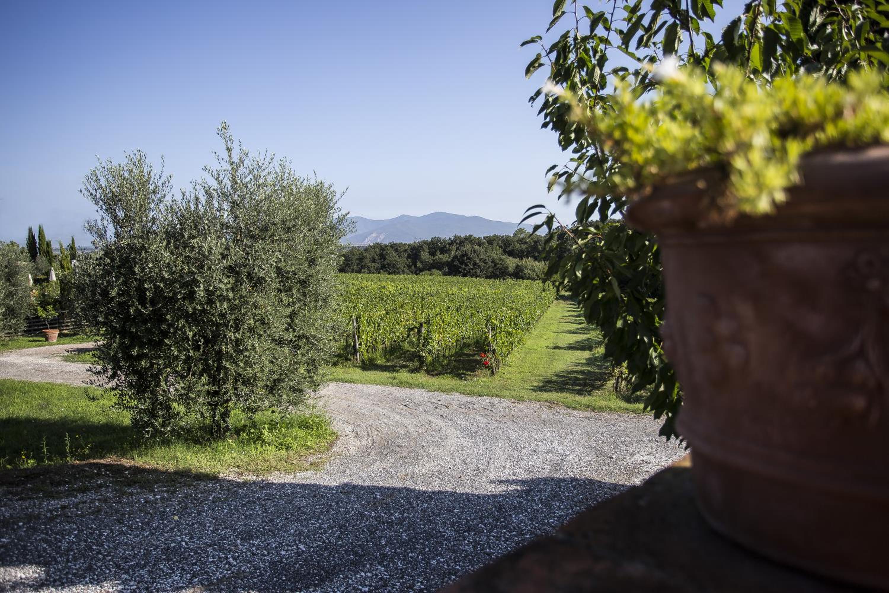 Agriturismo Gli Archi