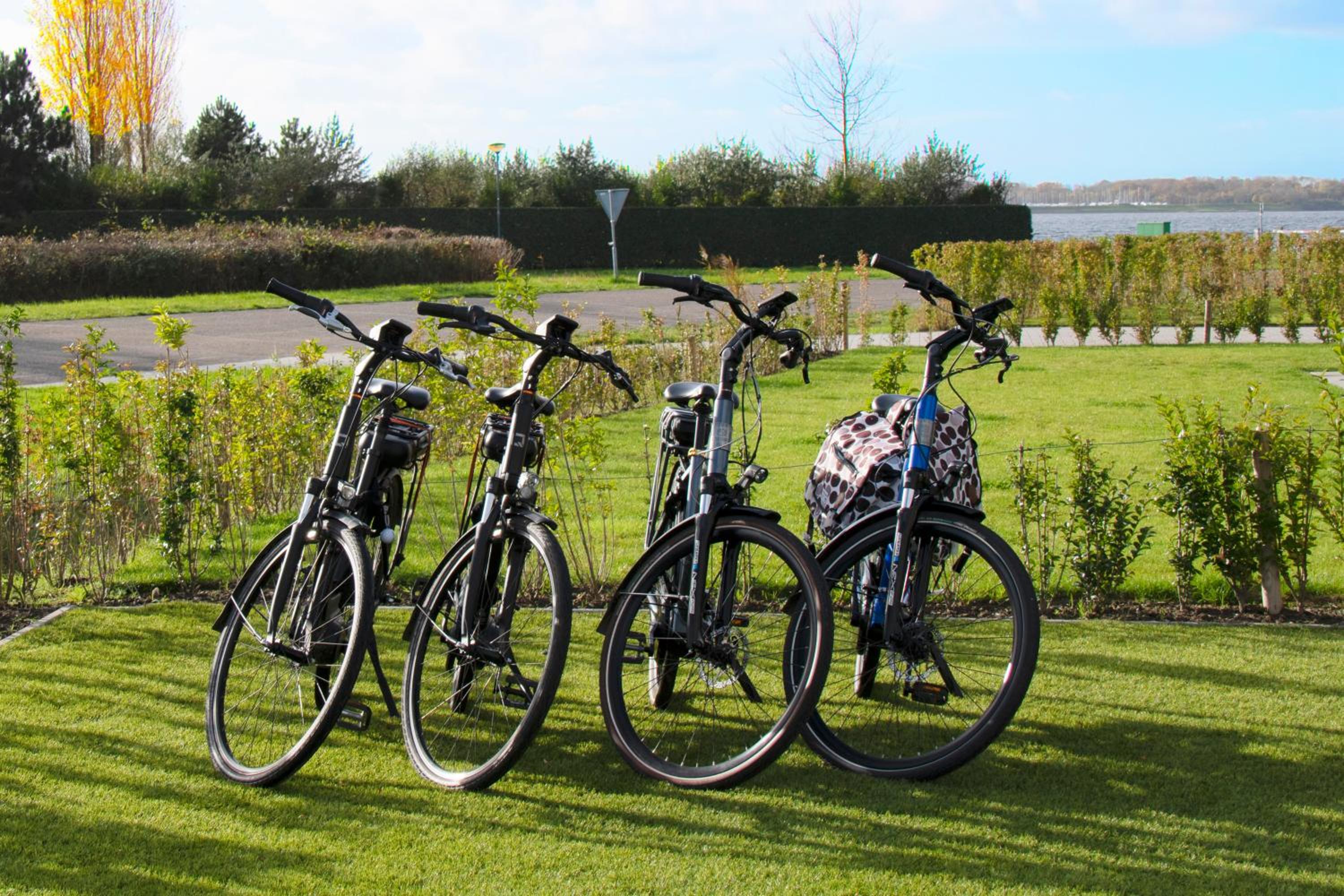 Villa Maroma Mistral Veerse Meer , 4 E-bikes gratis laden, EV trampoline view 2