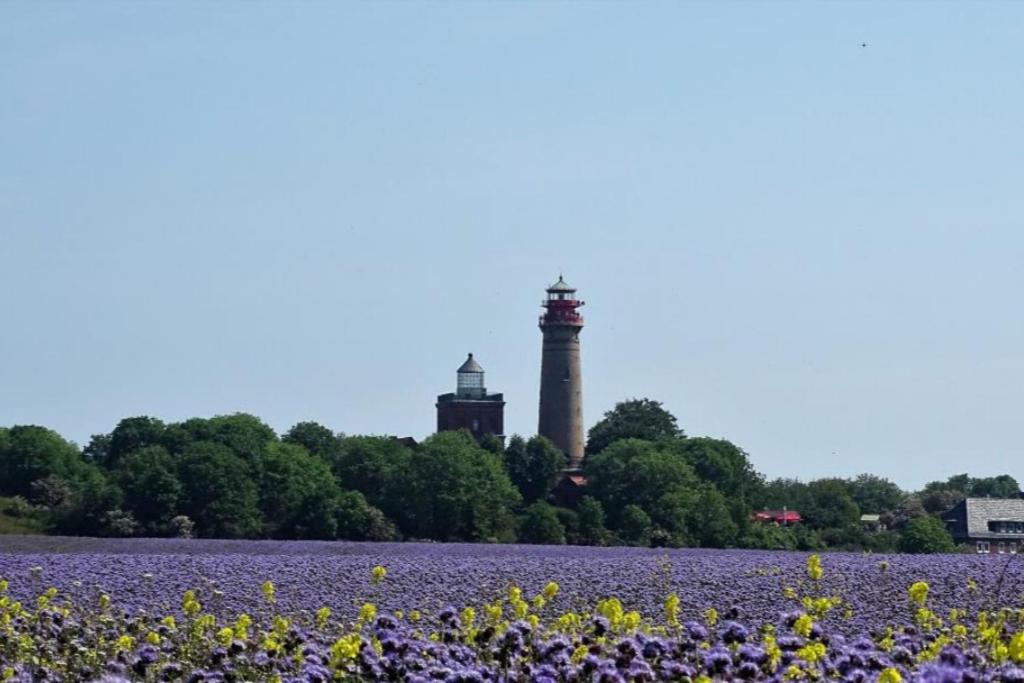 NEU! Ferienwohnung Arkona auf Rügen